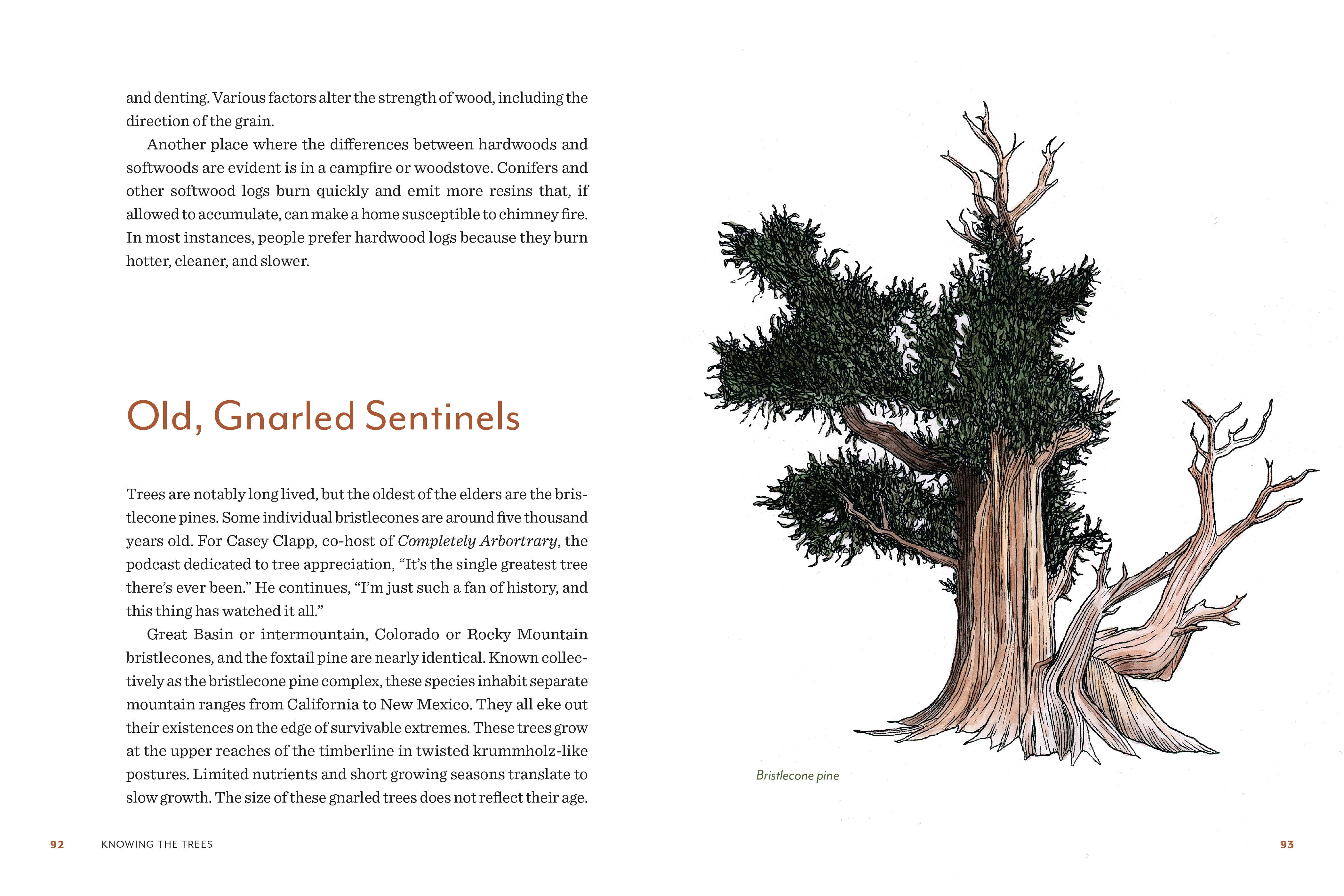 Knowing the Trees