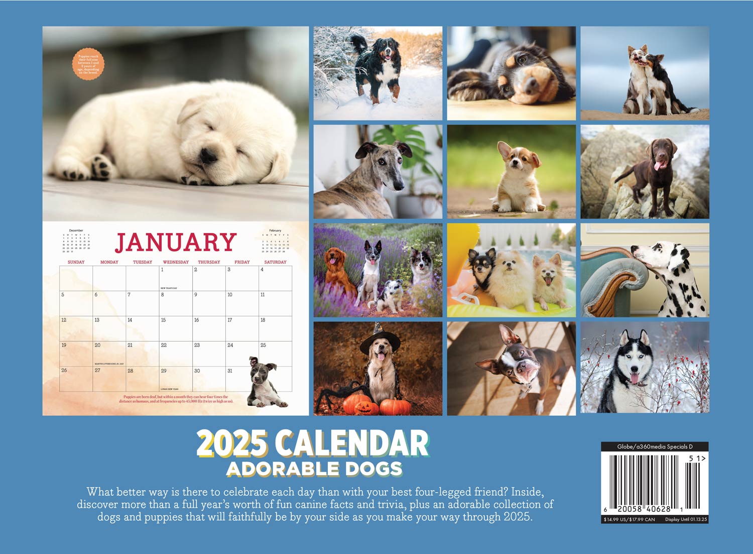 Adorable Dogs - 2025 Calendar: Year Of Four-Legged Friends, Fun Canine Facts, Trivia, Tips, Tricks On Best Breeds, Training, How To Make Your Dog Happy, Adorable Collection Of Dogs, Puppies & More!