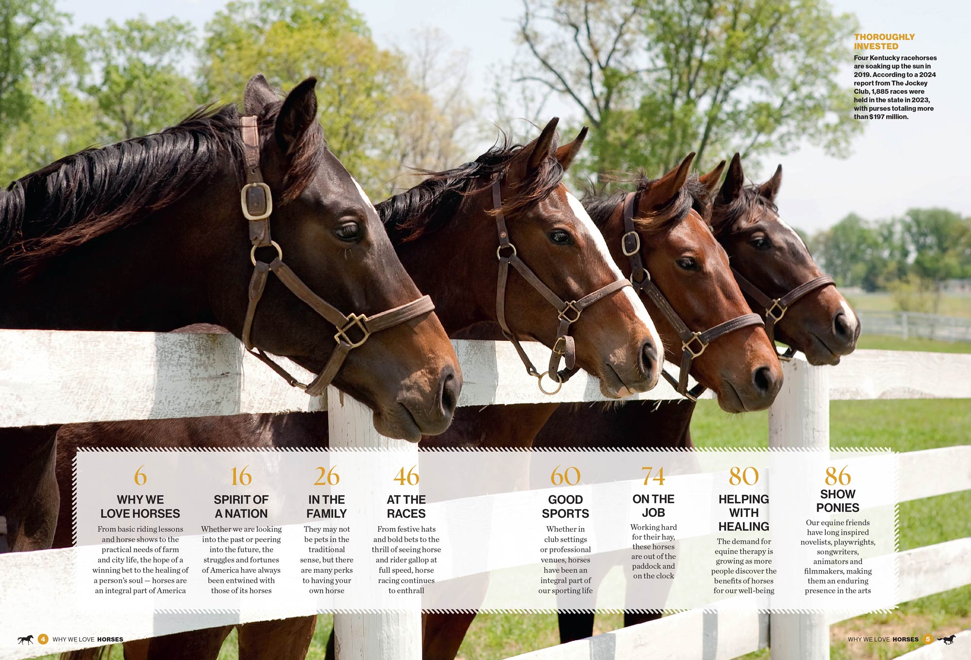 Why We Love Horses - Equine Beauty, Horse Racing, Therapeutic Benefits, Equestrian Lifestyle, Horse Care Tips, Family Bonds, Sporting Culture, Healing & Wellness, Inspiring Stories & Cultural Impact!