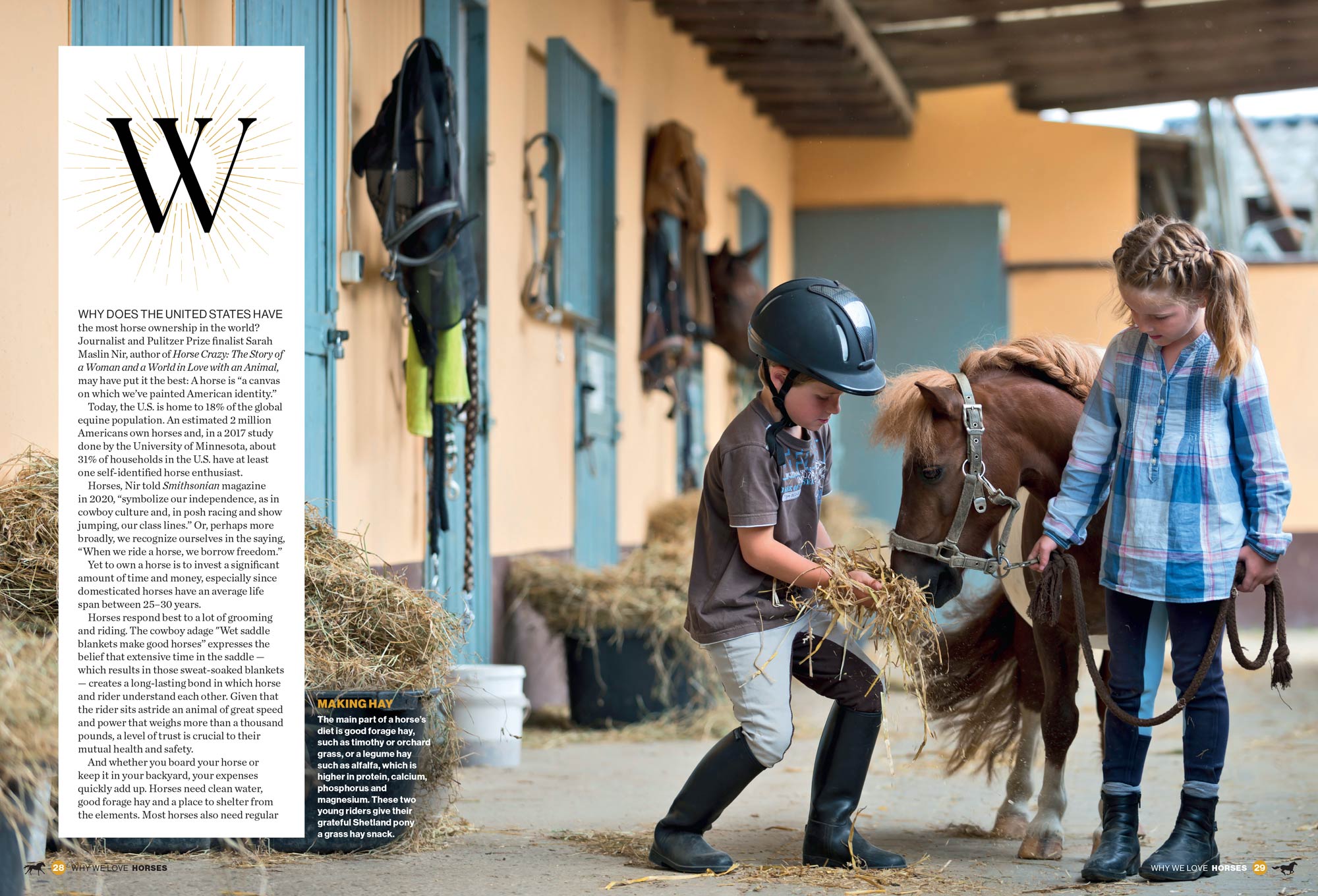 Why We Love Horses - Equine Beauty, Horse Racing, Therapeutic Benefits, Equestrian Lifestyle, Horse Care Tips, Family Bonds, Sporting Culture, Healing & Wellness, Inspiring Stories & Cultural Impact!