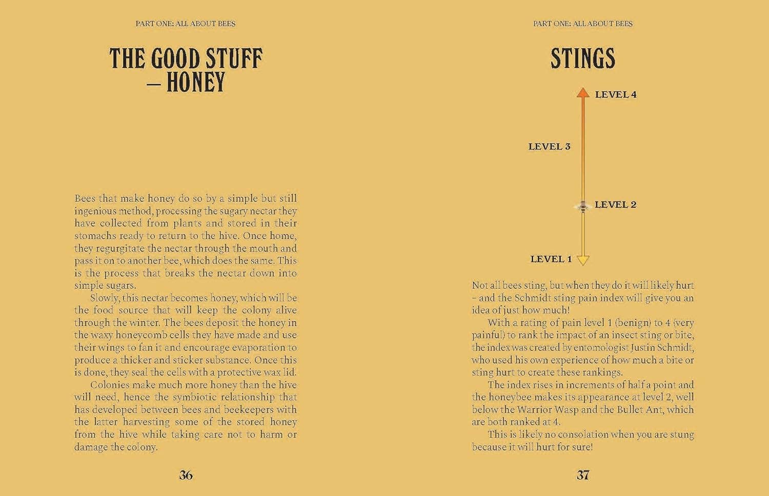 Bees