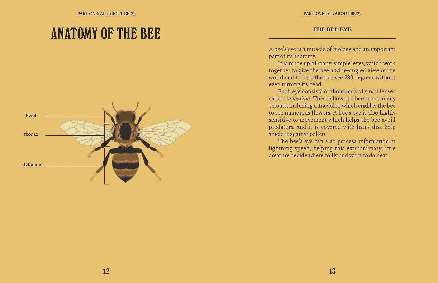 Bees