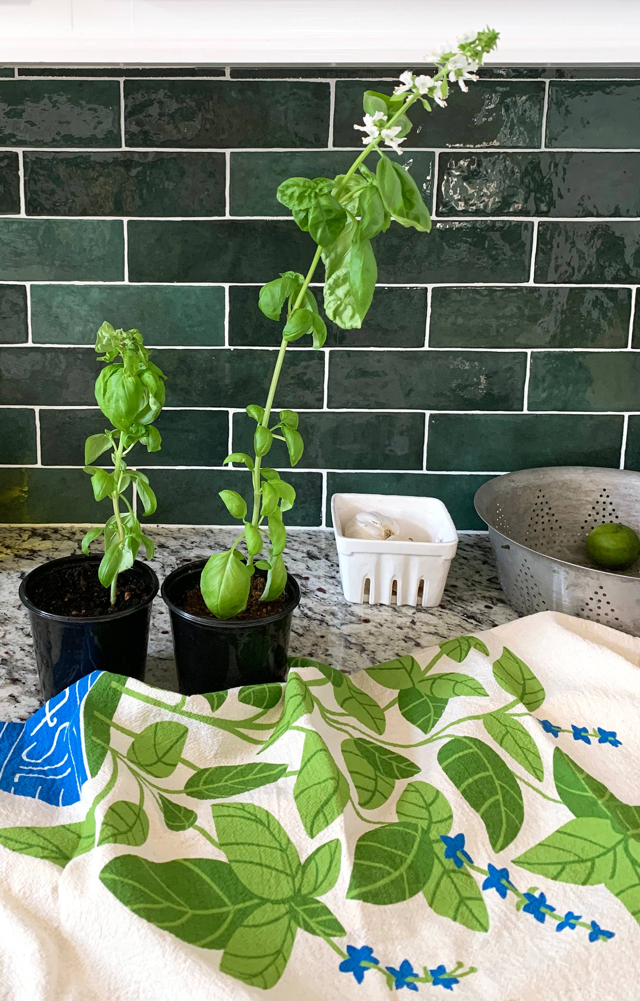 Basil Tea Towel