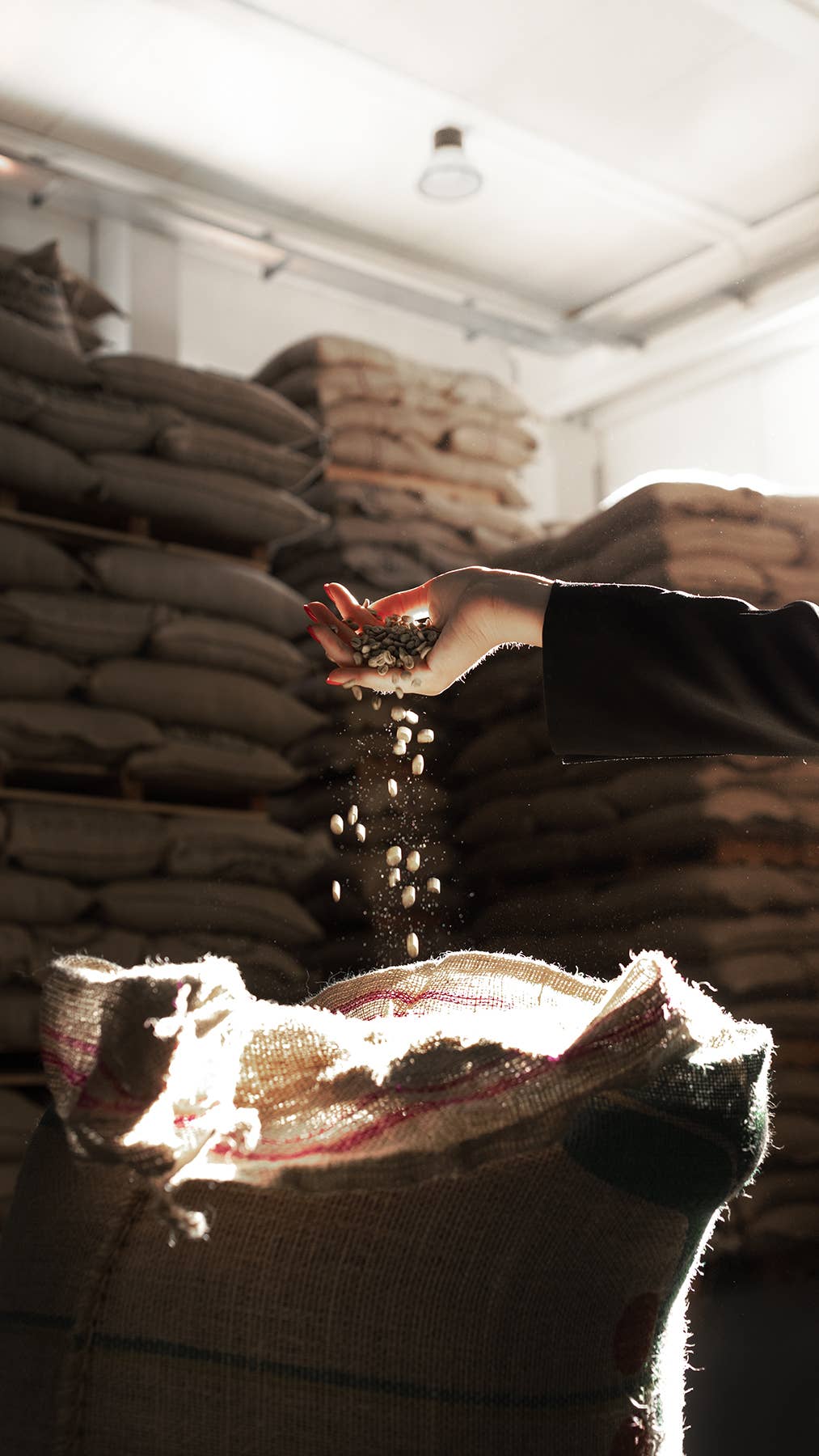Whole Coffee Beans by Trucillo
