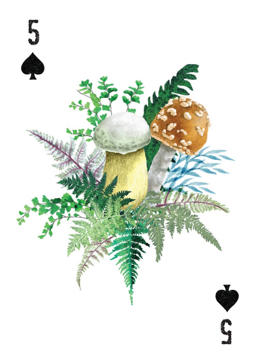 A Woman's Place Is in the Wild