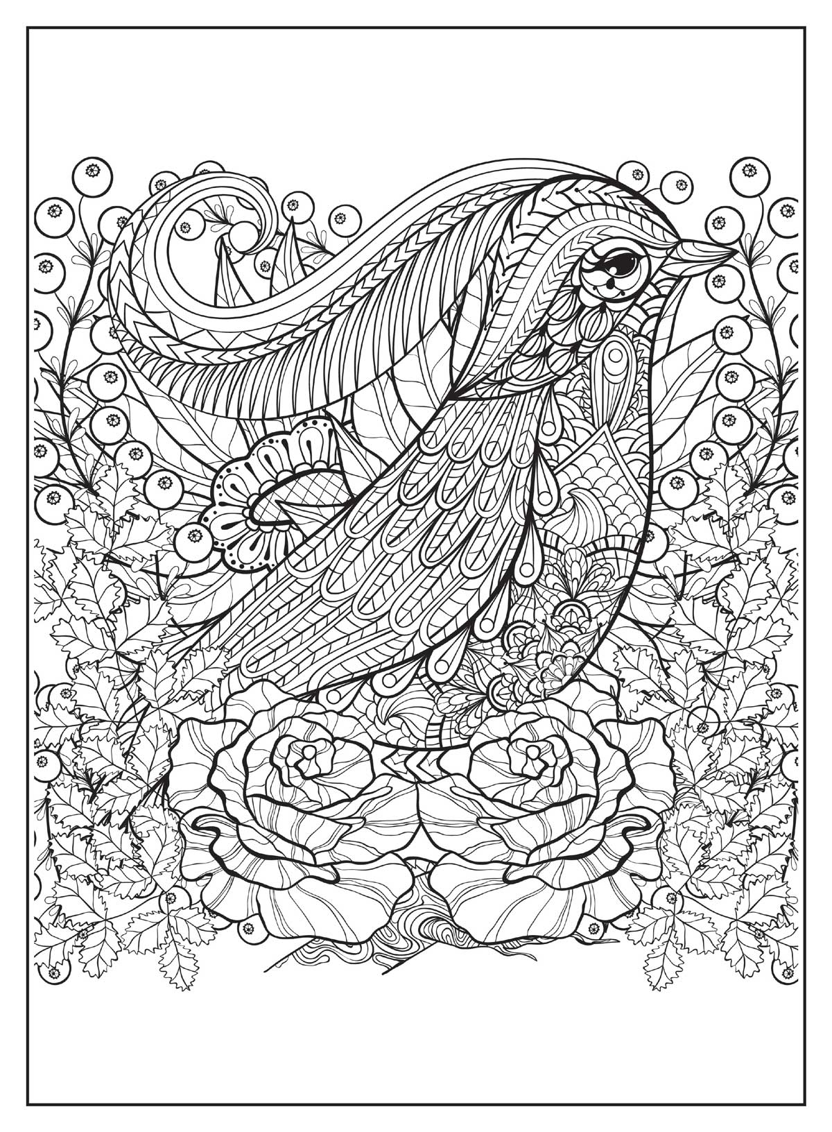 Advanced Coloring - Birds & Flowers: 32 Designs, Calming Adult Coloring Books Inspired By Nature, Interesting Facts, Boost Creativity, Relax, Unwind, Unplug, De-Stress, Self-Care, Draw, Tips & Tricks!