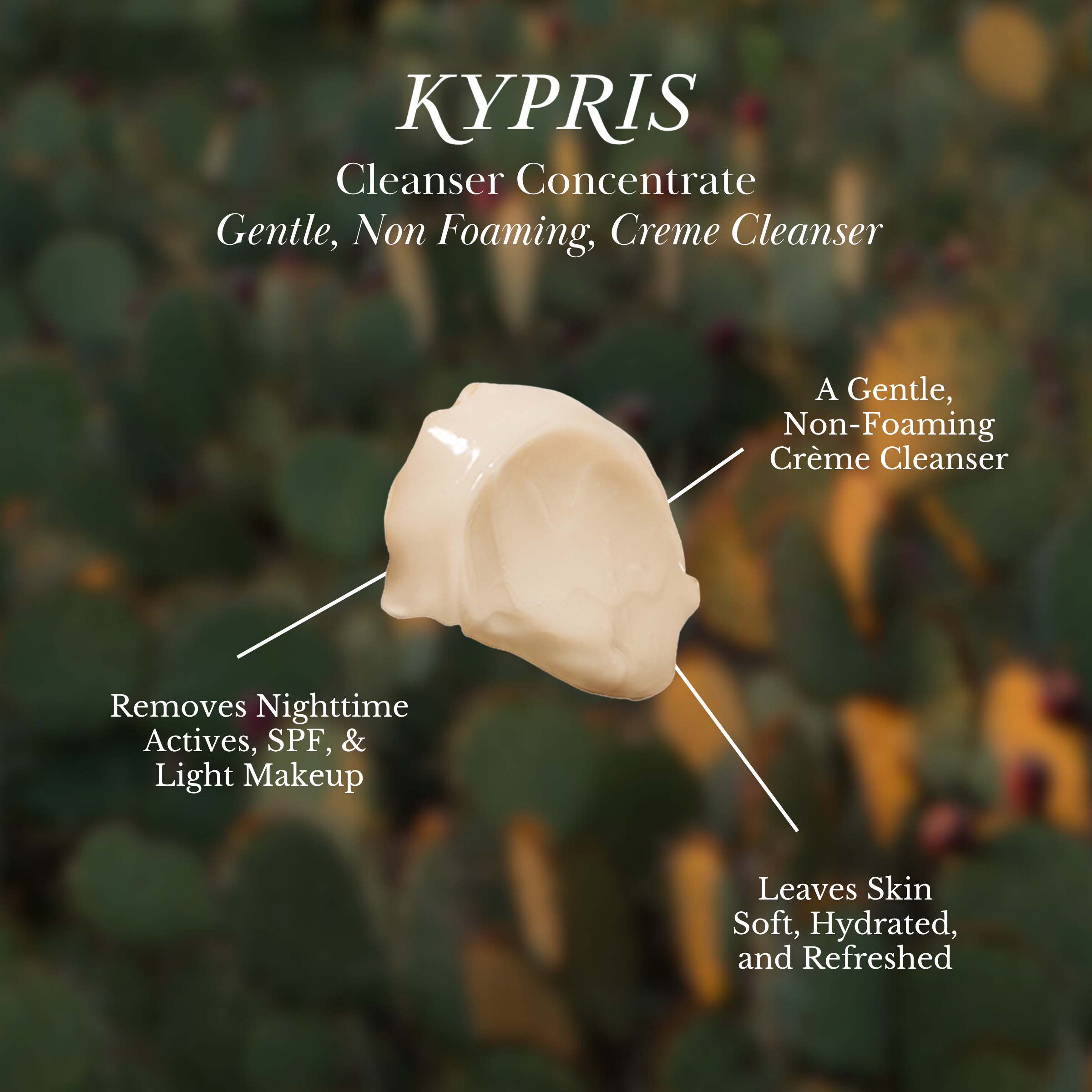 Cleanser Concentrate - Gentle, Non Foaming, Creme Cleanser