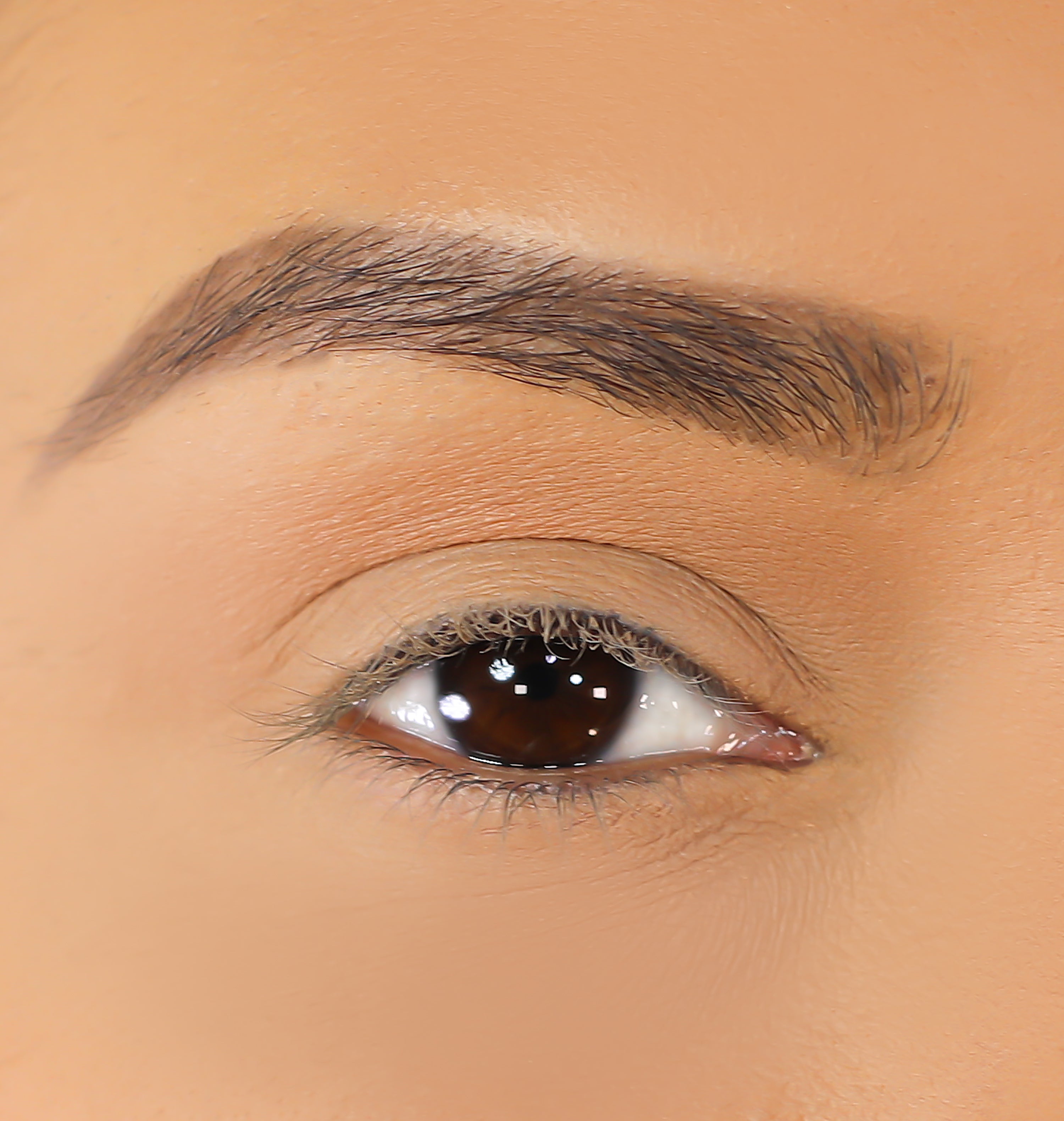 3D Mink Eyelashes - Issy