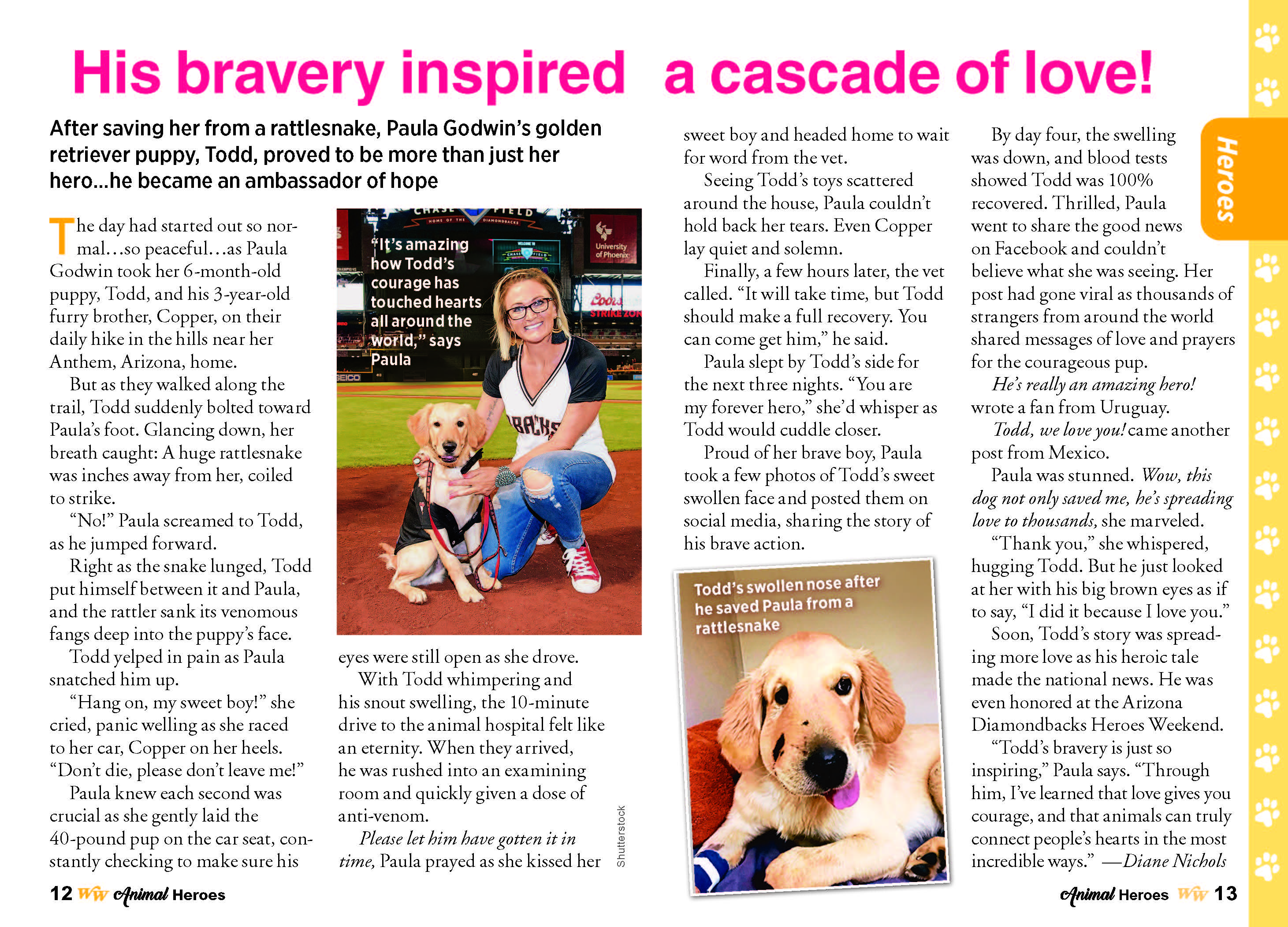 Woman's World Specials - Animal Heroes: 38 Astonishing Tales Of Love & Courage, Dog Saves Family From Fire, Horse Heals Veterans, Cat Inspiring Thousands, Piglet Changing Lives, (Digest Sized)