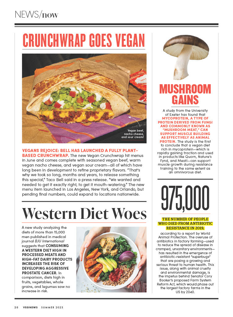 VegNews Summer Issue 2023 - 50+ Plant-Based Food & Lifestyle Recipes, Barbecue, Jamaican & Seafood, Vegan Destination Weddings, Favorite Cookbooks, Netflix Richa Moorjani Interview & Travel Getaways!