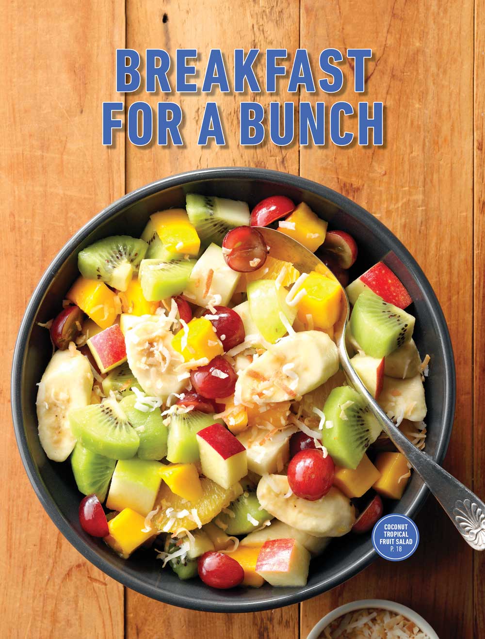 Taste of Home - What Can I Bring?: 109 Travel-Ready Recipes, Make & Take Apps, On-The-Go Main Dishes, Crowd-Pleasing Desserts, Fast No-Bake Recipes, Potluck, Barbecue, Bake Sale, Holiday Party & More!