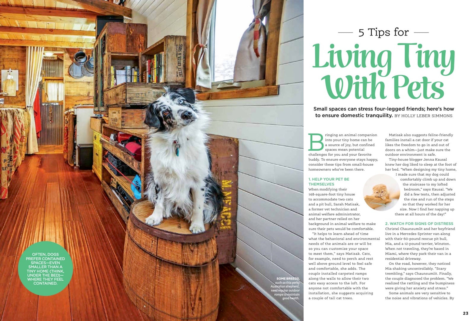 Tiny Homes - Living Large In Small Houses! Downsize With Style, How To Save, Organizing Tips With The Best Pre-Built Designs, Family-Friendly Solutions & Essential Building Checklist!