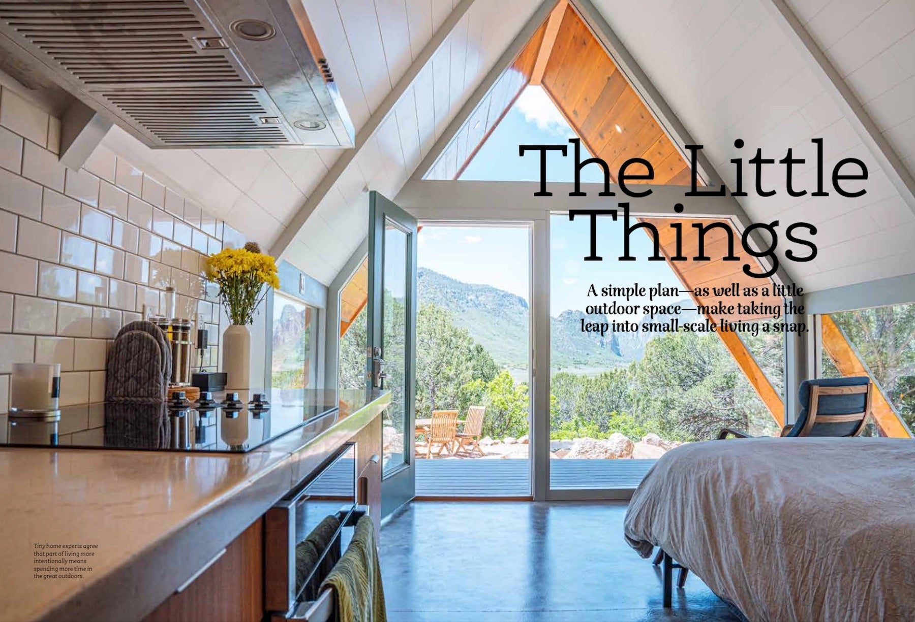 Tiny Homes - Big Ideas for Living Small: The Upside of Downsizing, Get Organized & Build on a Budget! PLUS Sustainable and Eco-friendly extras!