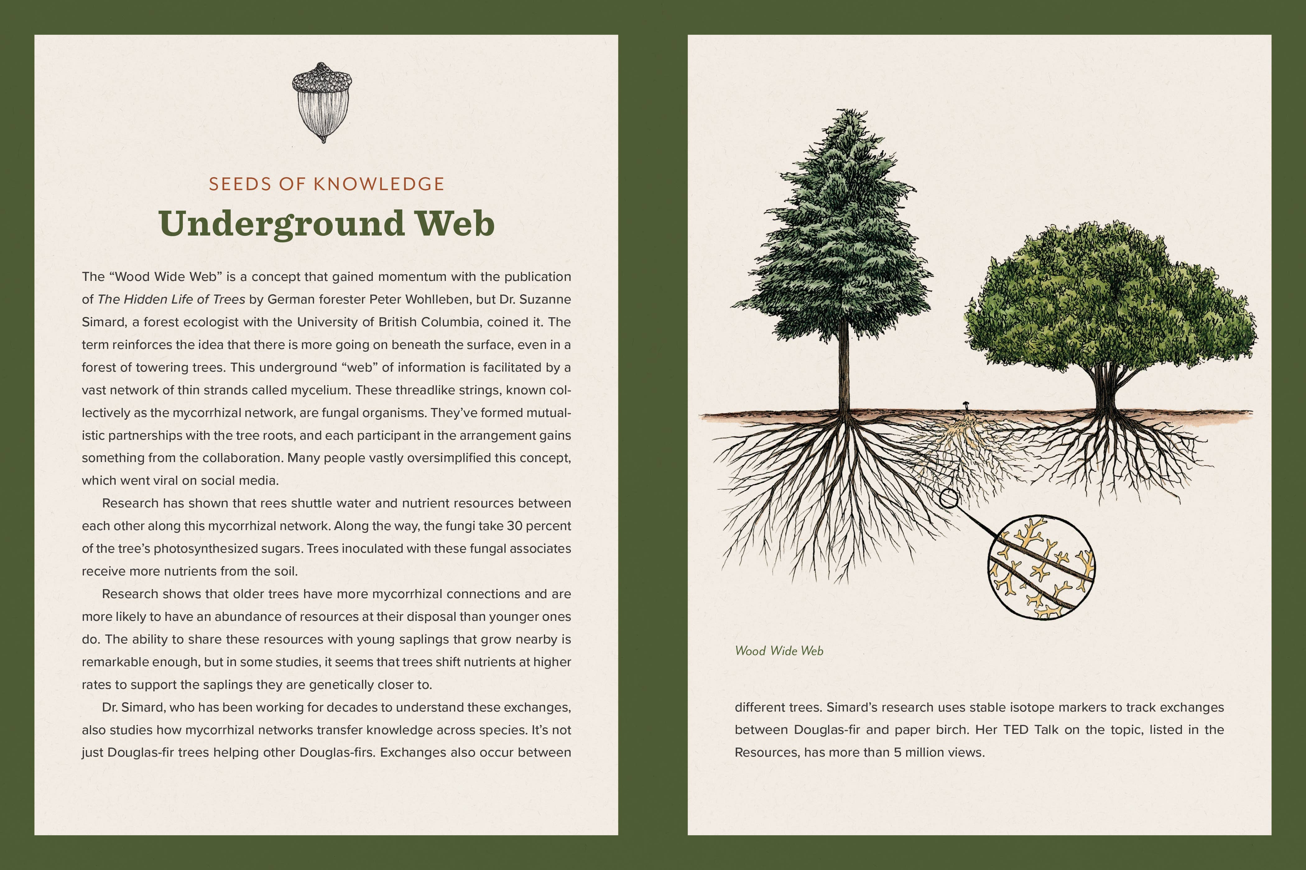 Knowing the Trees