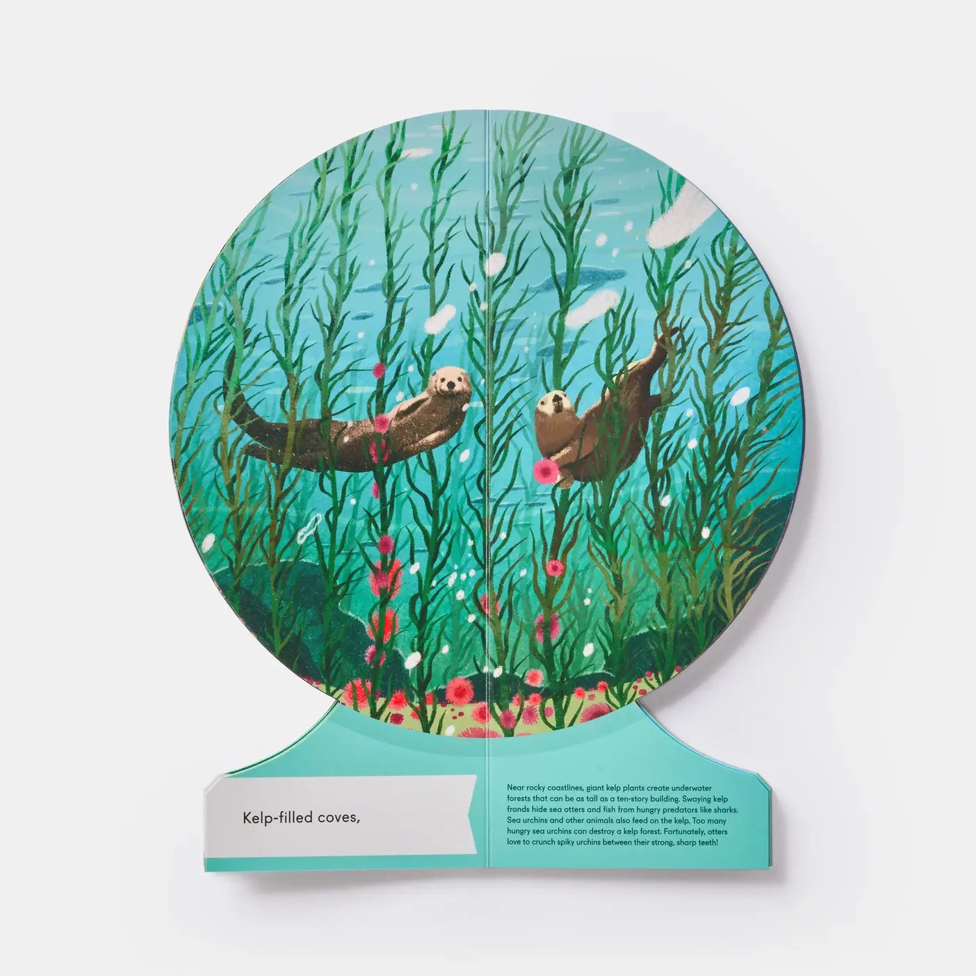 Our Underwater World: Dive Into Oceans, Lakes, Rivers