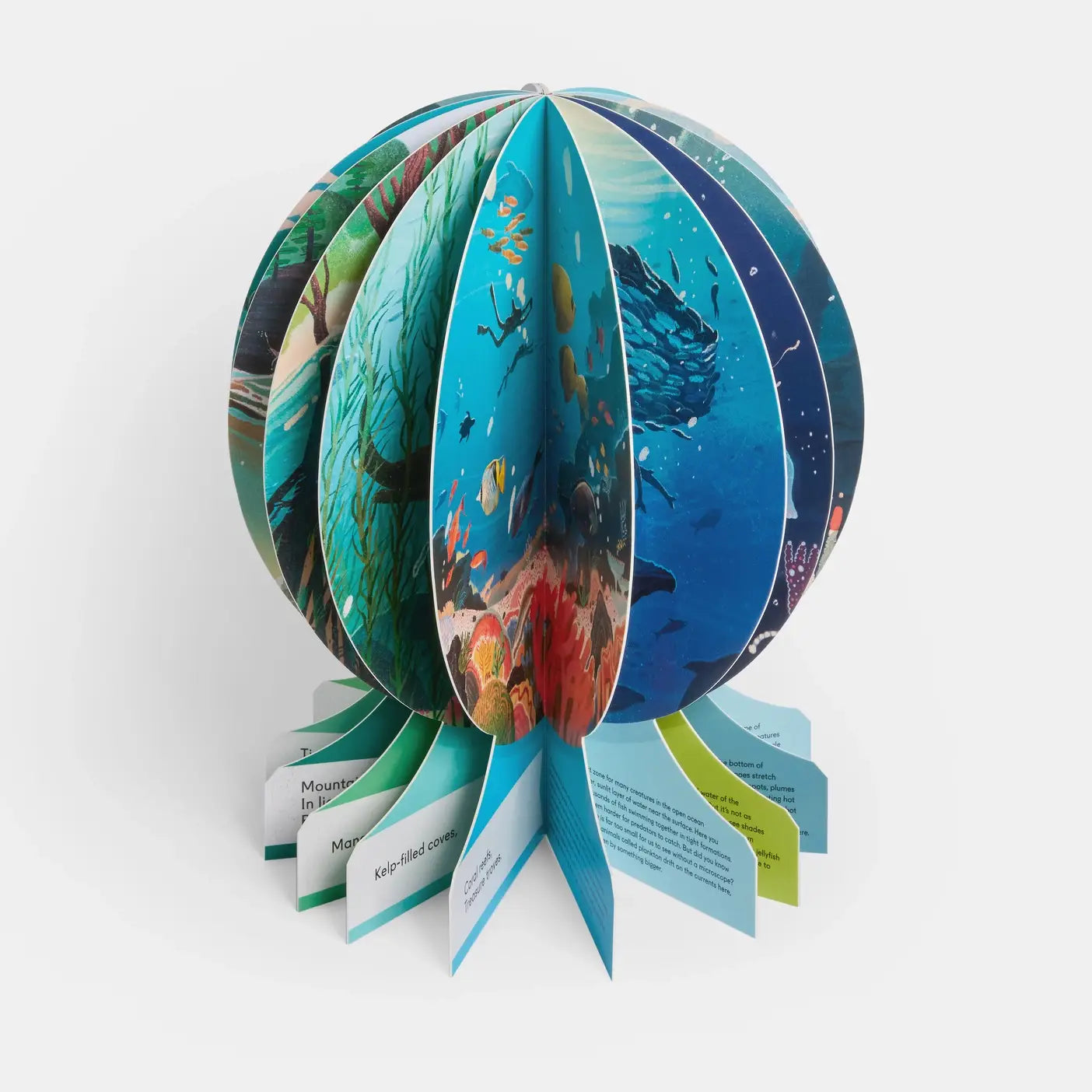 Our Underwater World: Dive Into Oceans, Lakes, Rivers