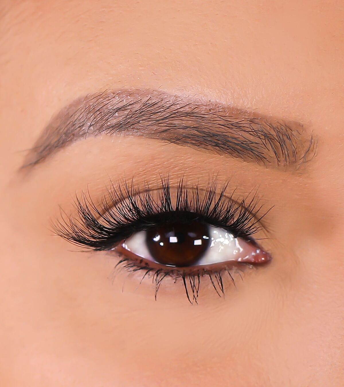 3D Mink Eyelashes - Parrish