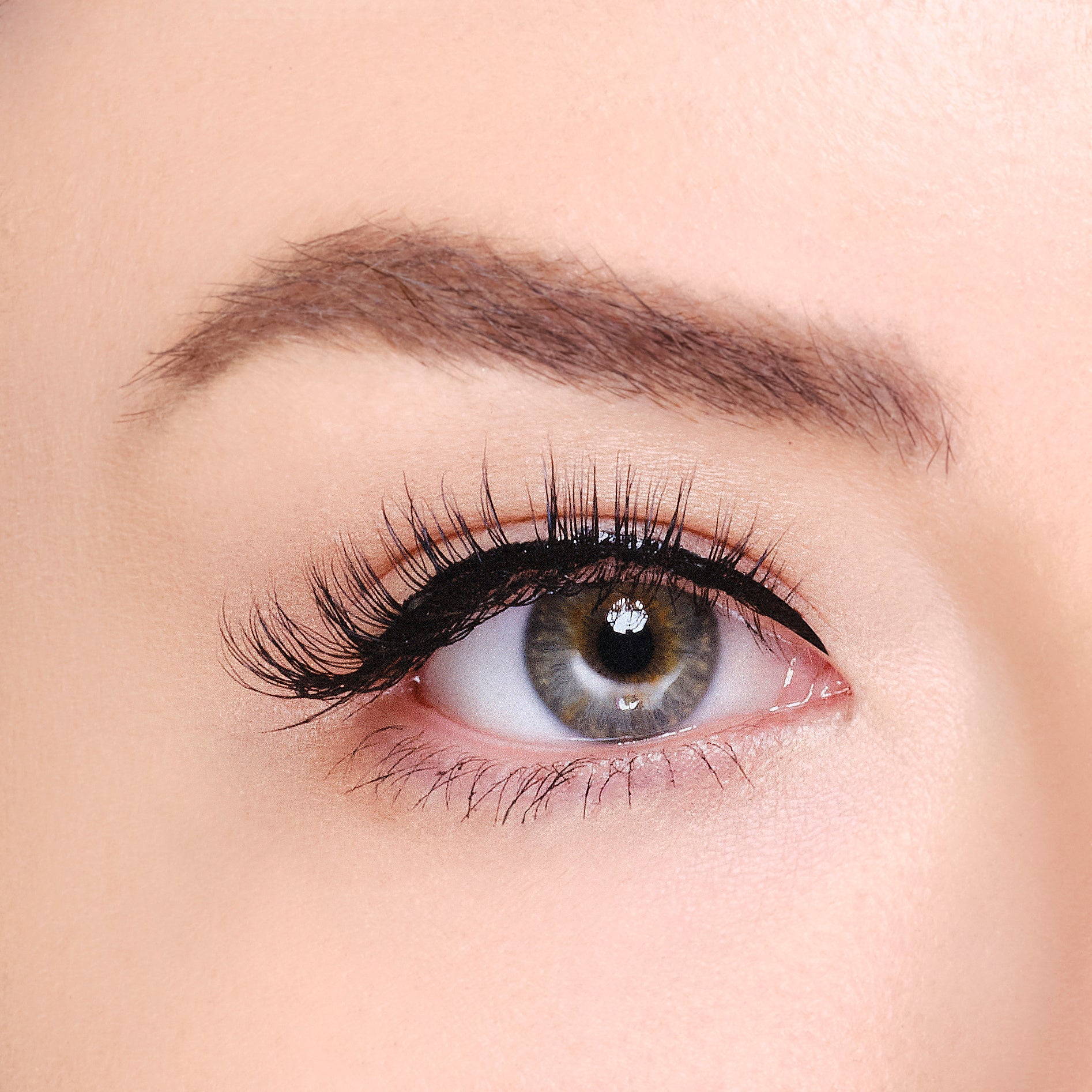 Synthetic Eyelashes - Rome