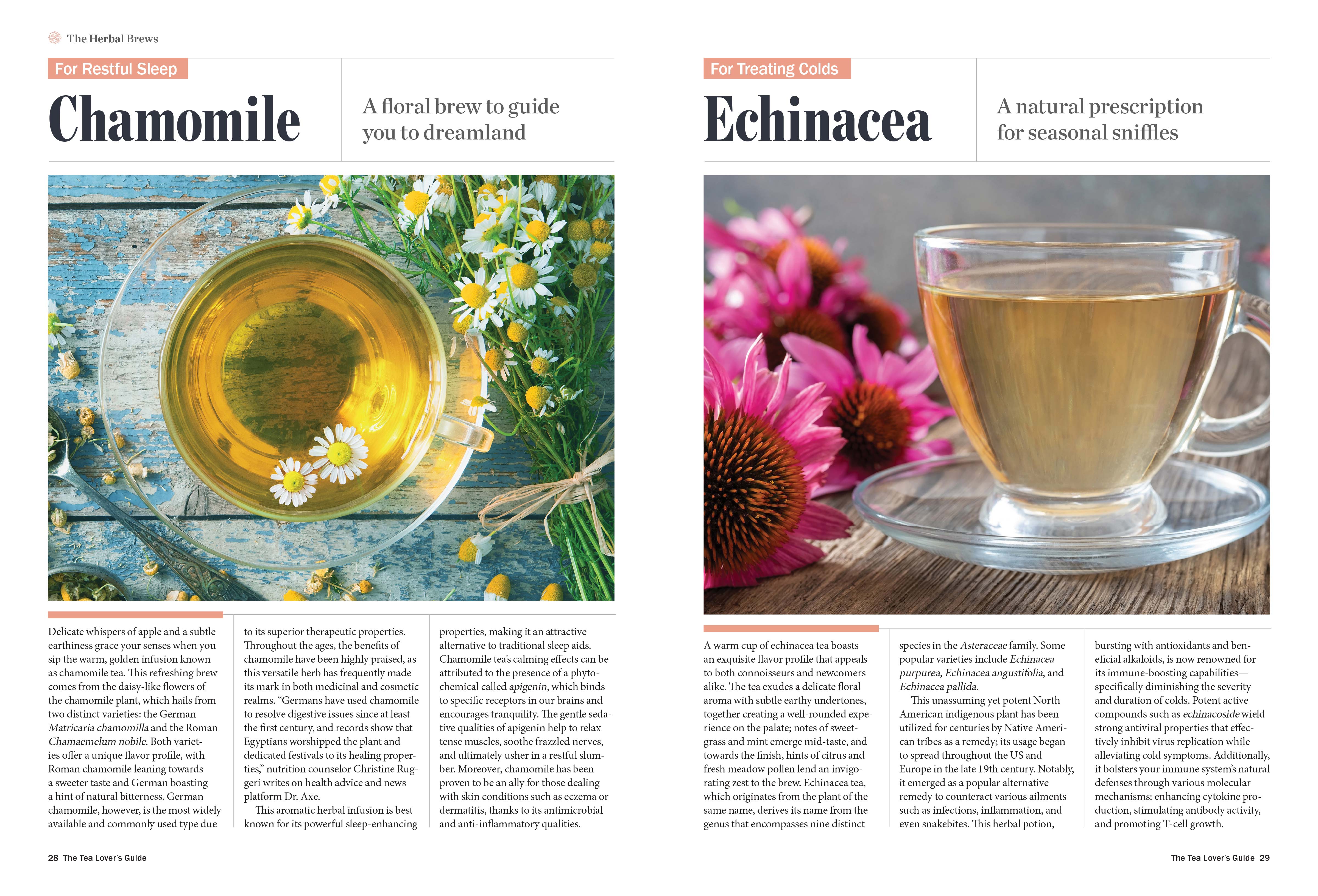 Tea Lover's Handbook - Steeping & Serving Tips For Thousands Of Varieties, Flavor & Chemical Profiles, Earl Grey, Chamomile, Caffeinated Brews, Herbal Tea For Sleep, Cold, Inflammation, Anxiety & More