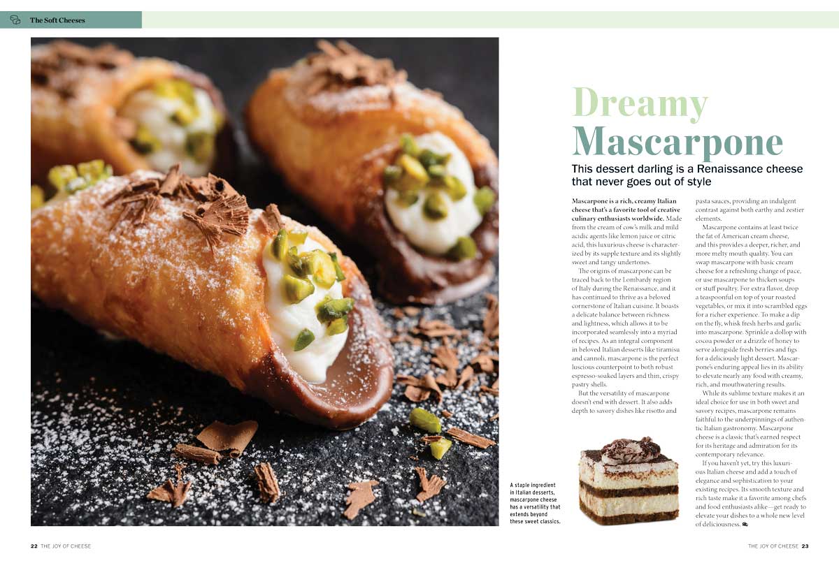 Ultimate Cheese Lover's Handbook - Where They're From, How They're Made, How They Taste, Expert Tips For Choosing, Pairing & Serving, Recipes, Camembert, Gouda, Havarti, Stilton, Pecorino & More!