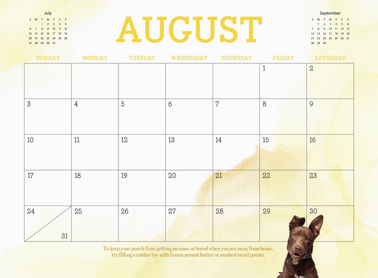 Adorable Dogs - 2025 Calendar: Year Of Four-Legged Friends, Fun Canine Facts, Trivia, Tips, Tricks On Best Breeds, Training, How To Make Your Dog Happy, Adorable Collection Of Dogs, Puppies & More!