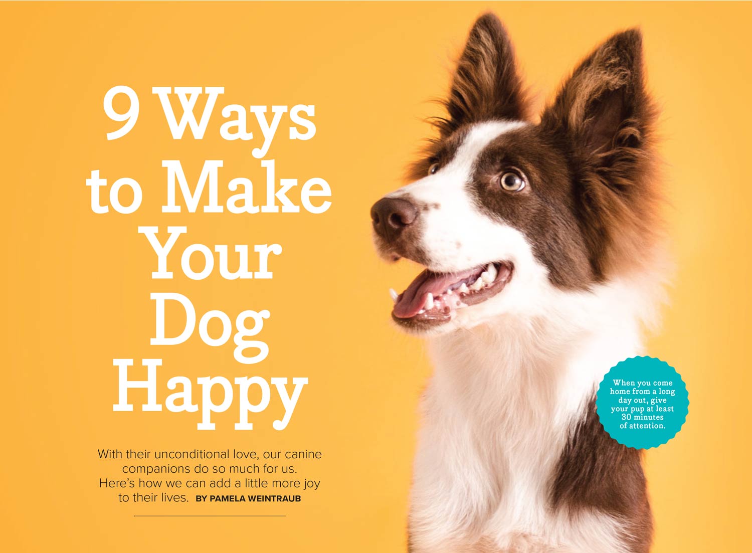 Adorable Dogs - 2025 Calendar: Year Of Four-Legged Friends, Fun Canine Facts, Trivia, Tips, Tricks On Best Breeds, Training, How To Make Your Dog Happy, Adorable Collection Of Dogs, Puppies & More!