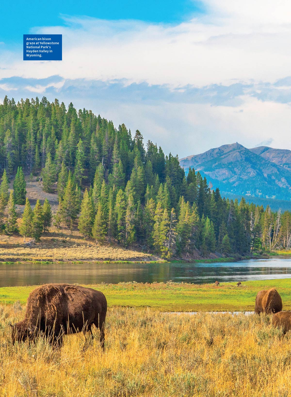 The Complete Guide To The National Parks - Yellowstone: Over 150 Years Of An American Treasure, Explore All 63 National Parks, Stunning Landscapes Across America, Insider Travel Tips & More!