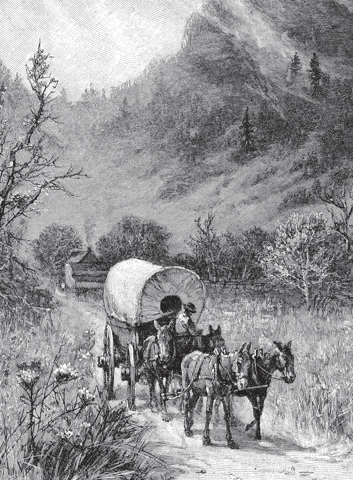 The American Frontier - How Trailblazers & Rebels Created A Country: Celebrate 250 Years Of USA, Wilderness Battles, Historic Discoveries, Thrilling Tales Of Survival, Adventure & More!