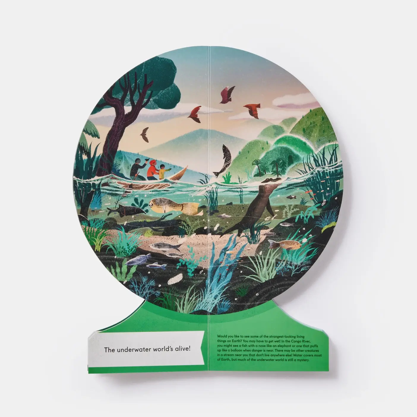 Our Underwater World: Dive Into Oceans, Lakes, Rivers