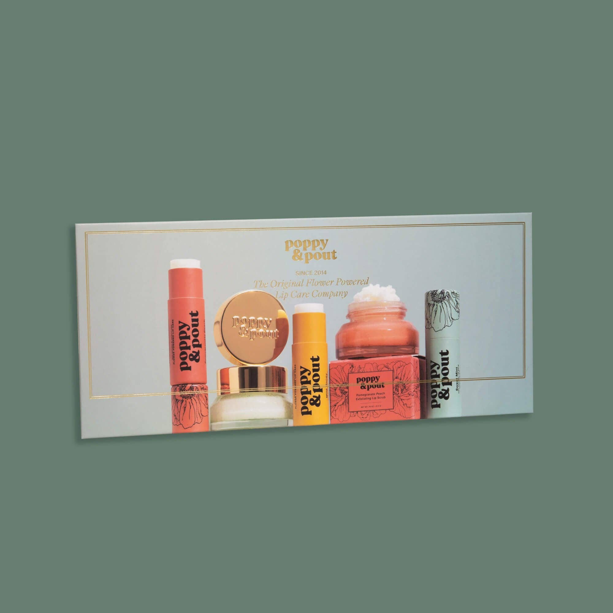 Magnetic Sign, Lip Scrub, Fits 10-Scrub Display