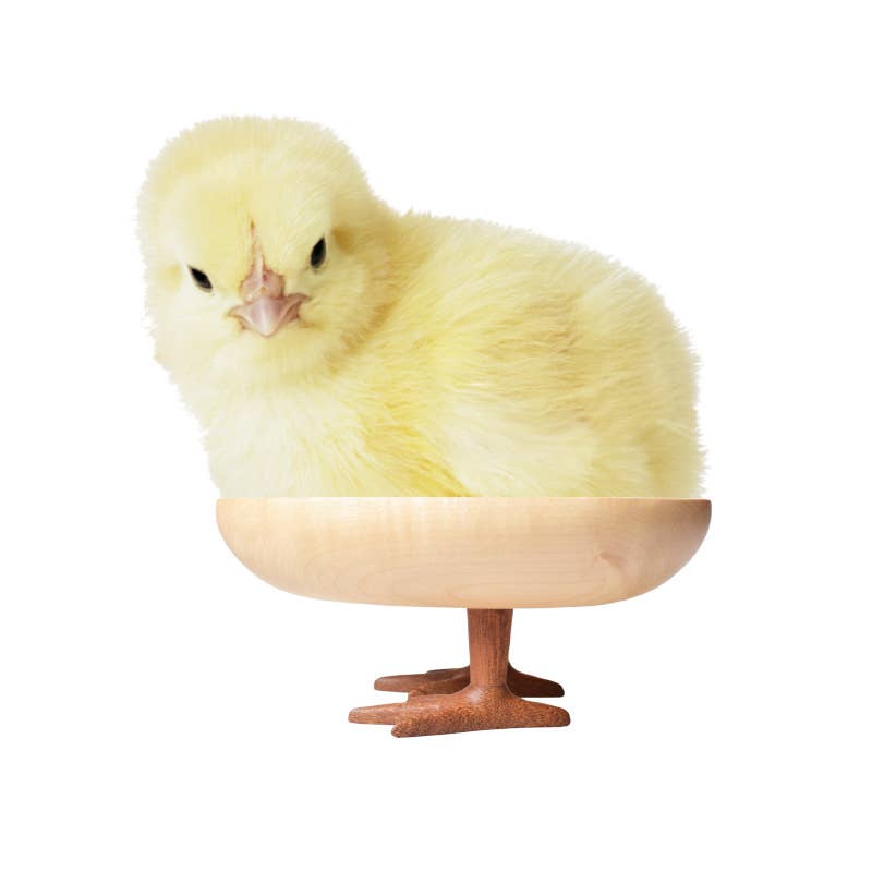 Walking Egg Tray - Handmade/Table Decoration