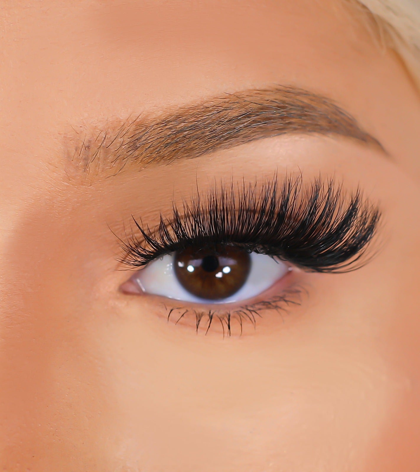 3D Mink Eyelashes - Confident