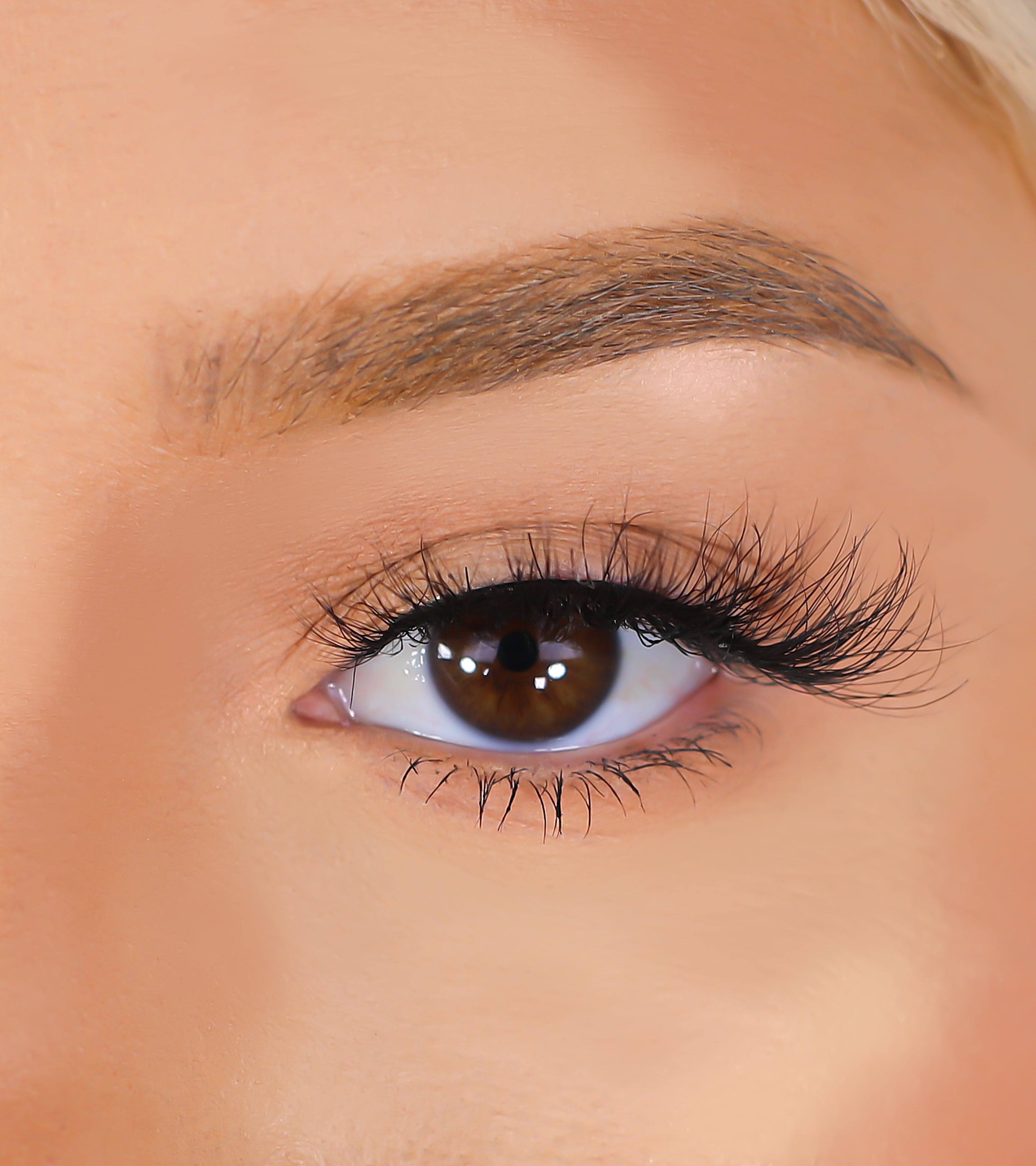 3D Mink Eyelashes - Cardi