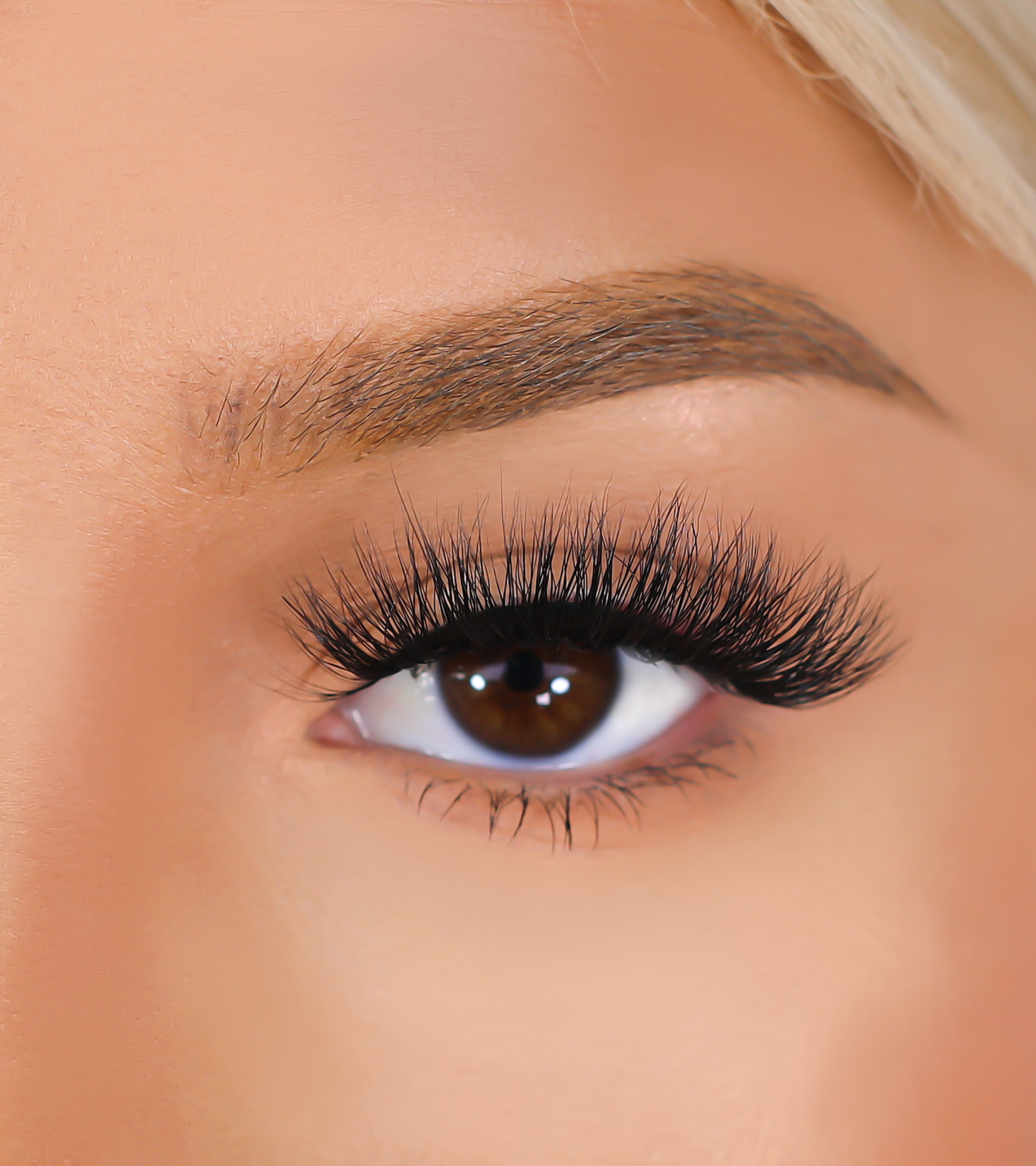 3D Mink Eyelashes - Que