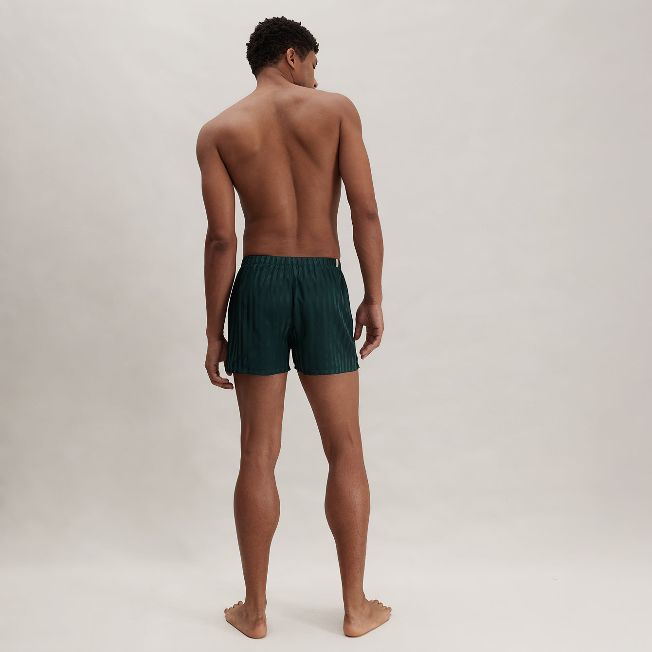 Men's Washable Silk Striped Jacquard Boxer