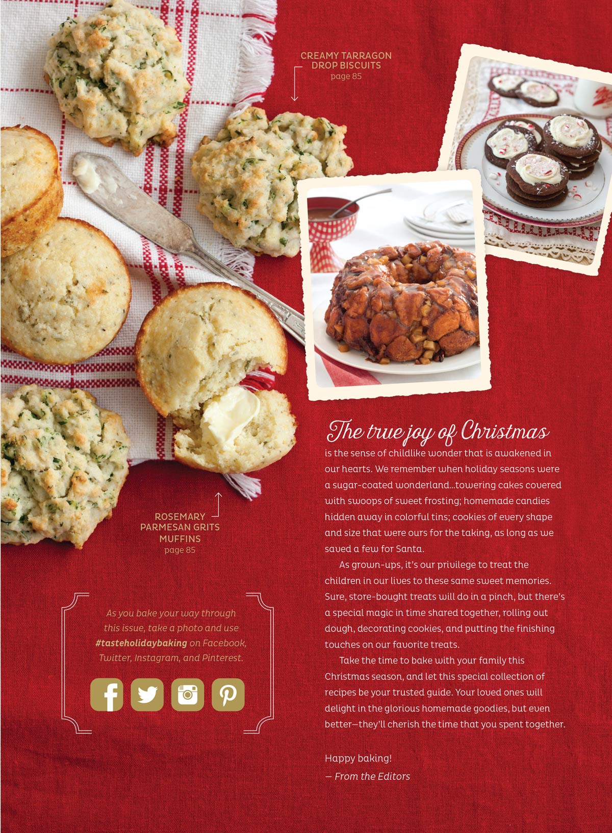 Taste of the South - Holiday Baking: Most-Requested Recipes, Southern Cookies, Cakes, Pies, Tarts, Muffins, Biscuits, Breads, Breakfast, Snacks, Tips & Tools For Successful Christmas Baking & More!
