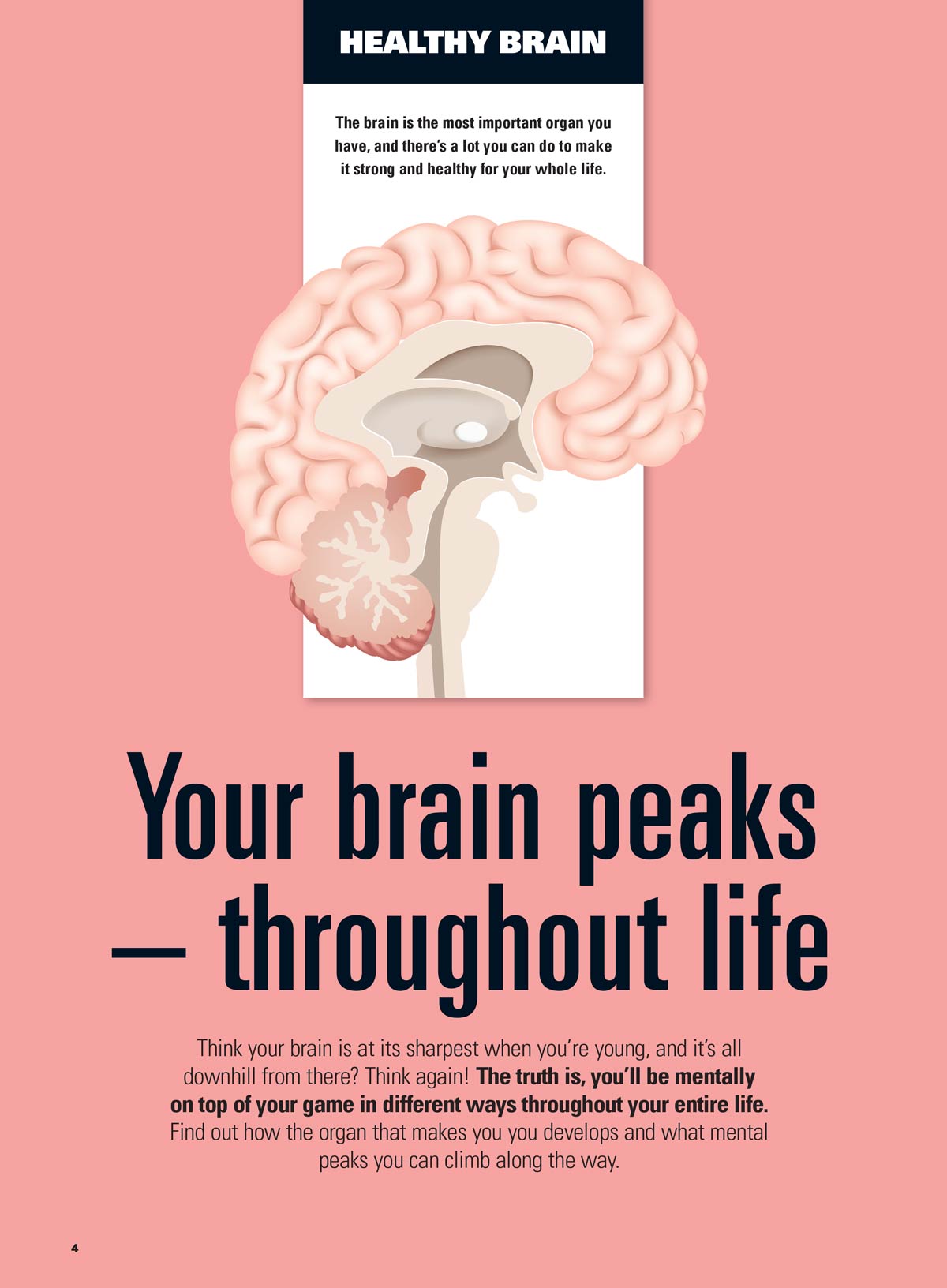 A Fit & Healthy Brain - The Ultimate Guide: 21 Superfoods, Boost Cognitive Function, Mental Clarity, Focus Techniques & Strategies, Expert Advice From Doctors, Psychologists, Fitness Coaches & More!