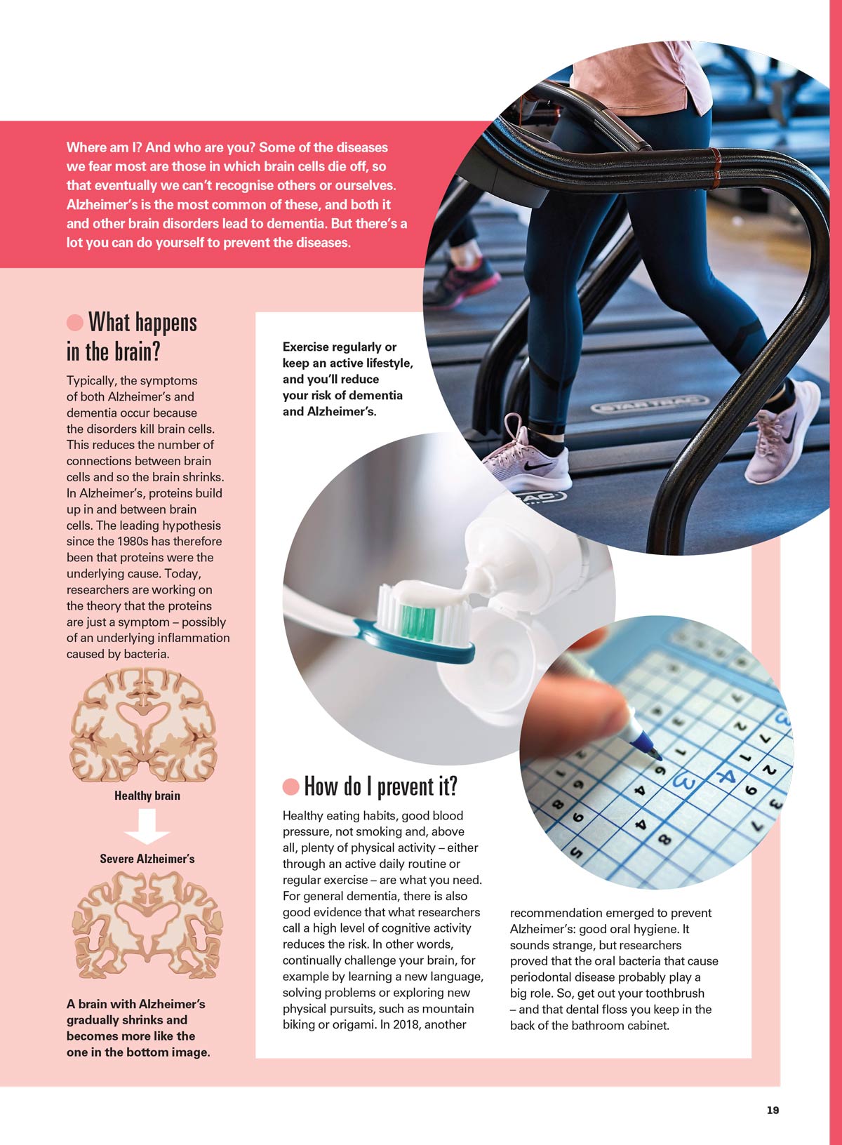 A Fit & Healthy Brain - The Ultimate Guide: 21 Superfoods, Boost Cognitive Function, Mental Clarity, Focus Techniques & Strategies, Expert Advice From Doctors, Psychologists, Fitness Coaches & More!