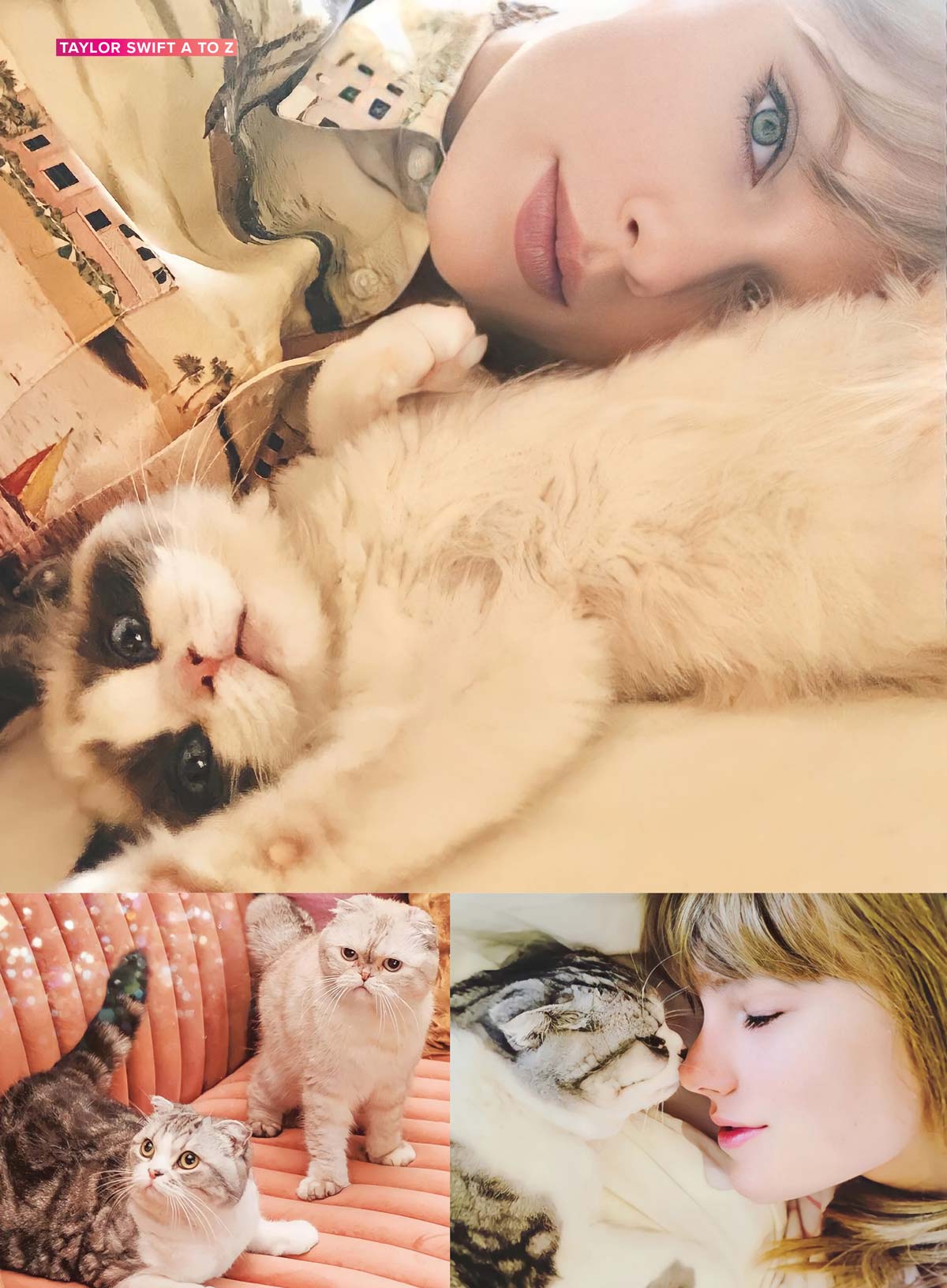 Taylor Swift - A to Z: Deep-Dive ABCs Guide, Eras Tour, Easter Eggs, Stories Behind Songs, Rerecorded Albums, Vault Tracks, Personal Life, Style Evolution, Romances, Cats, What's Next & 2 Free Posters