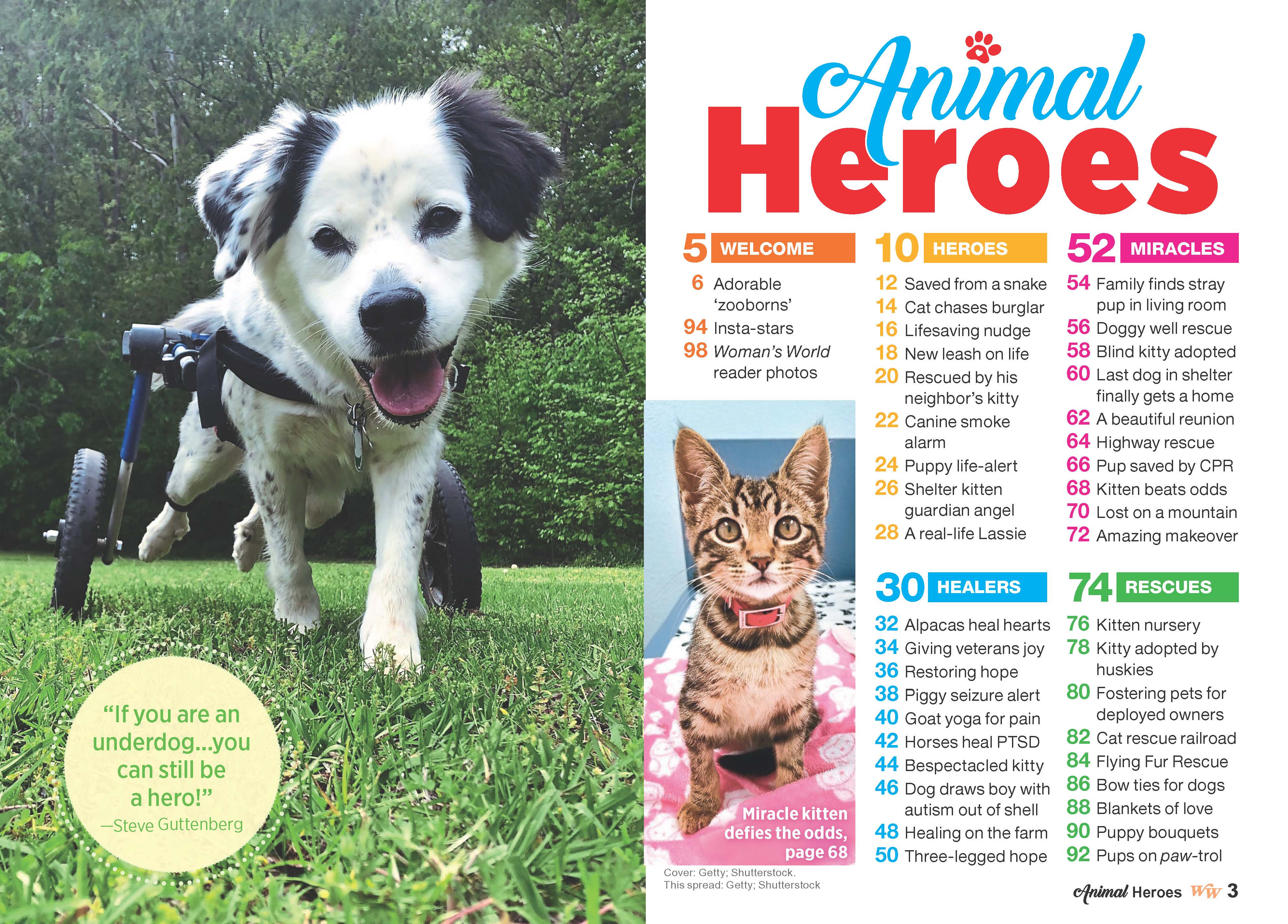 Woman's World Specials - Animal Heroes: 38 Astonishing Tales Of Love & Courage, Dog Saves Family From Fire, Horse Heals Veterans, Cat Inspiring Thousands, Piglet Changing Lives, (Digest Sized)