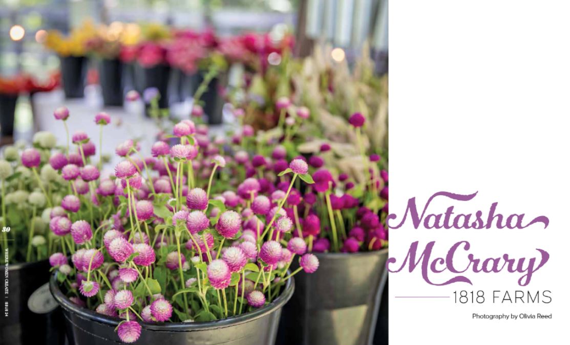 Where Women Create - Inspiring Work Spaces Of Extraordinary Women Fall 2023: Art, Architecture, Studios, Farms, Passion, Art Of Business, Paige Davison, Natasha McCrary, Marjolein Dallinga & More!