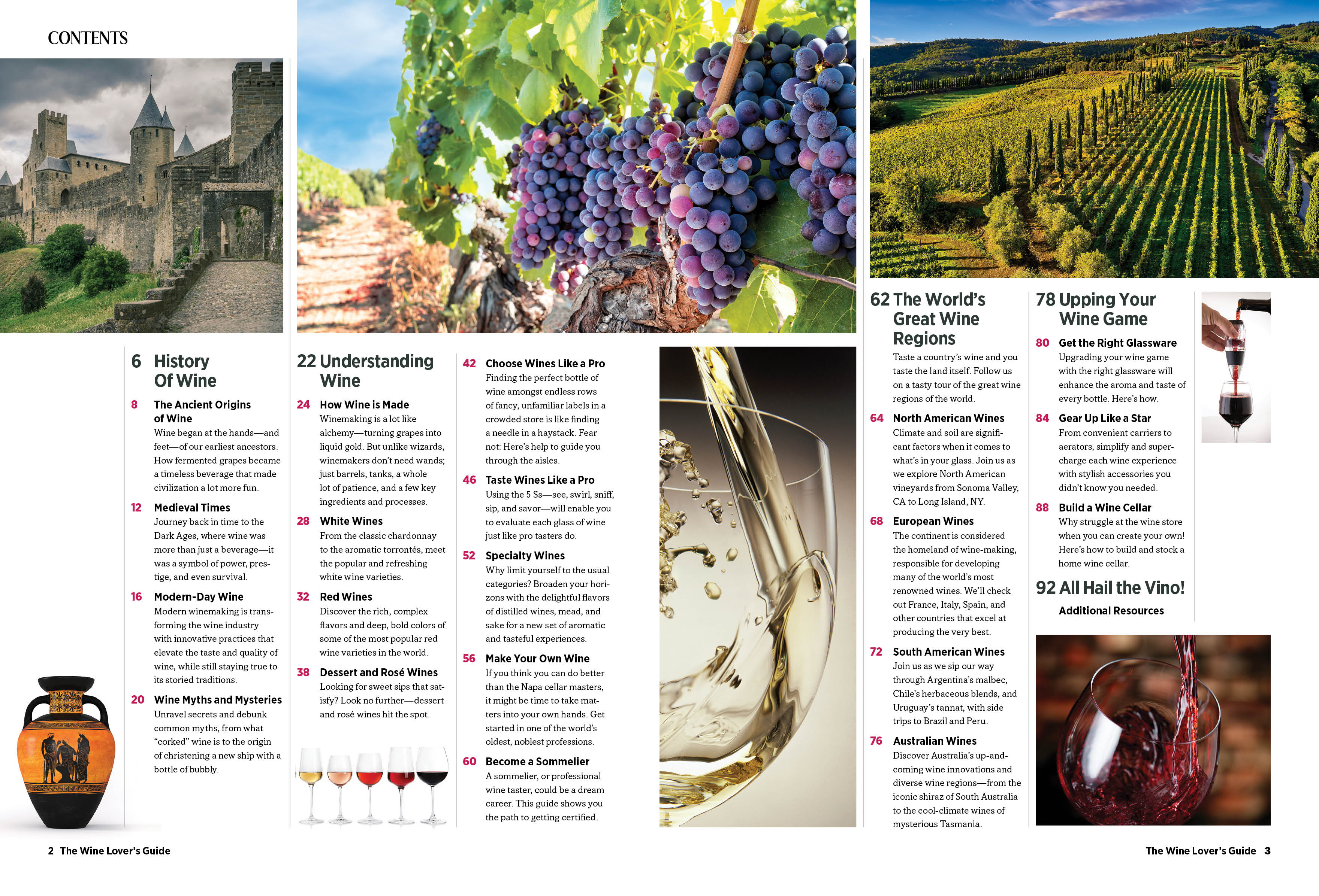Wine - The Essential Guide: Expert Tips for Wines at Every Price Point How to Taste & Read Wine List + More!