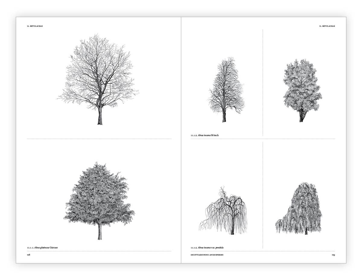 The Architecture of Trees