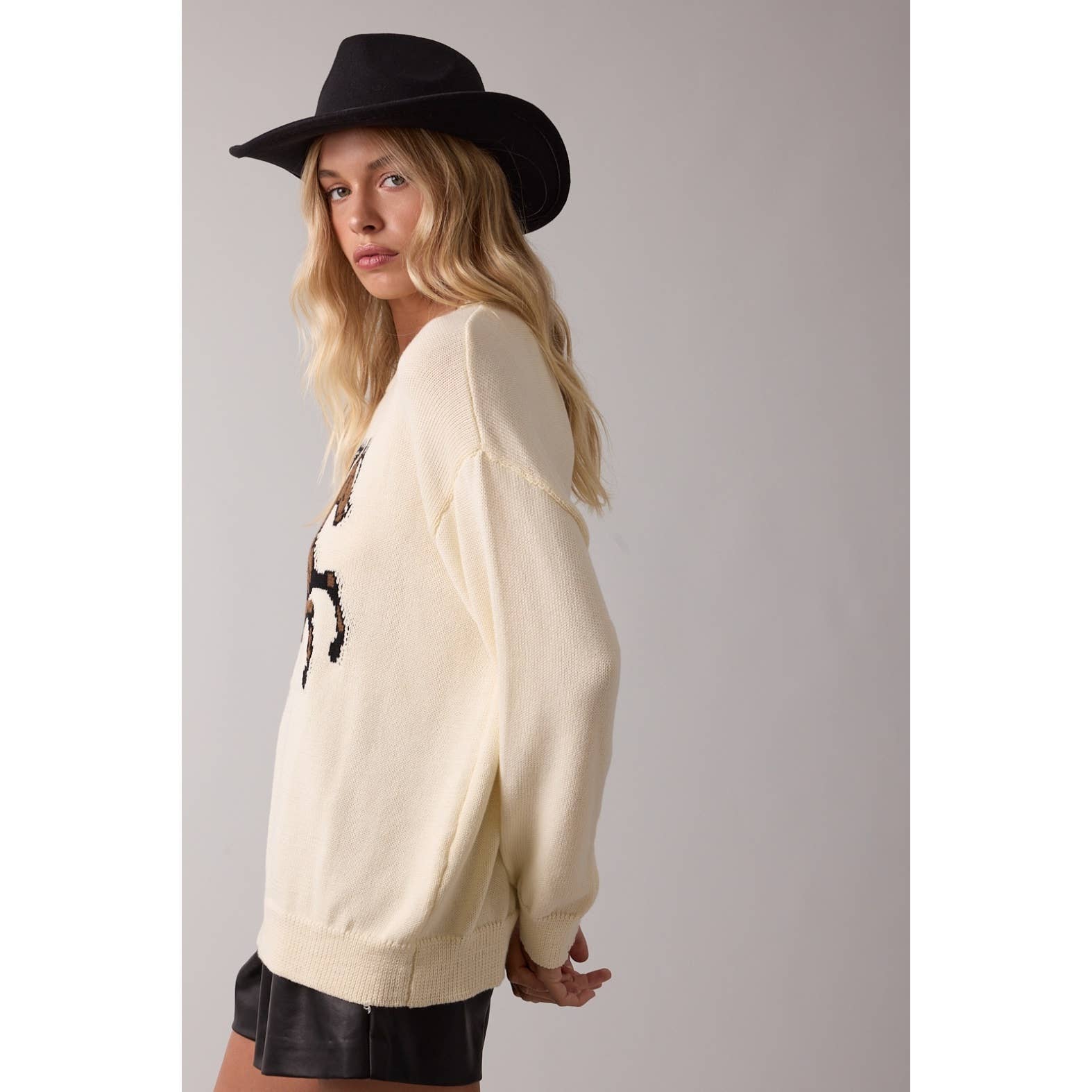 'HORSE' KNIT SWEATER / WL25-11664