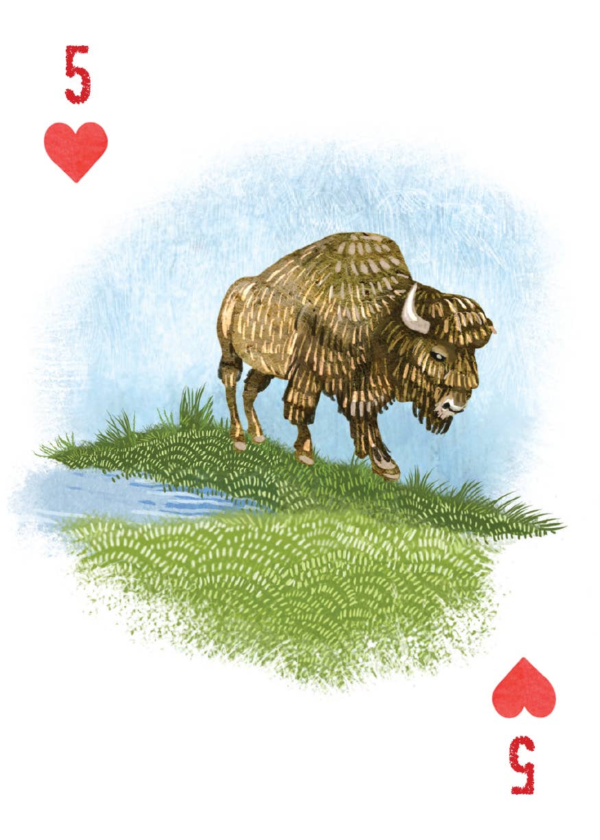 A Woman's Place Is in the Wild