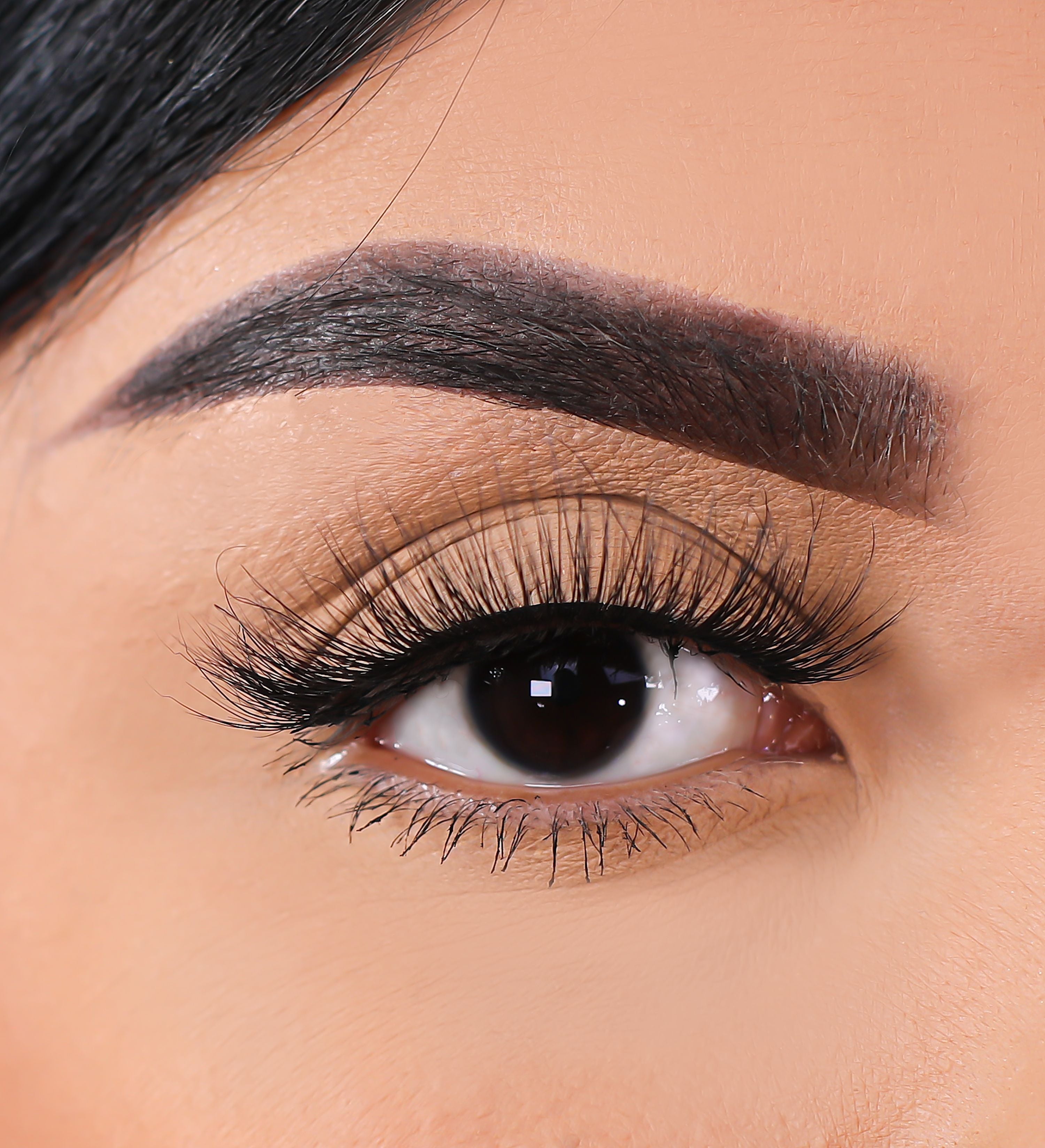 3D Mink Eyelashes - Peek