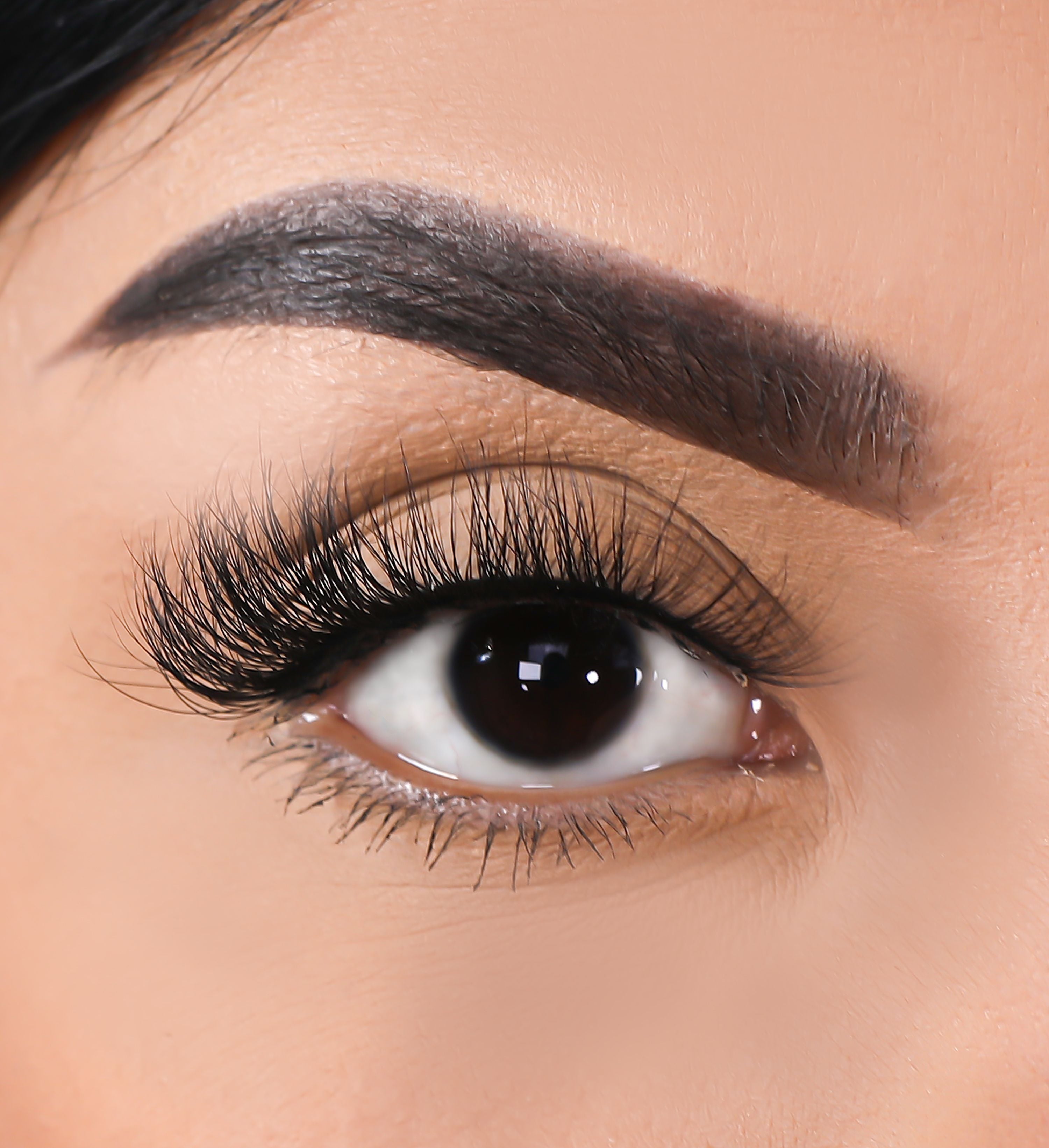 3D Mink Eyelashes - Rise