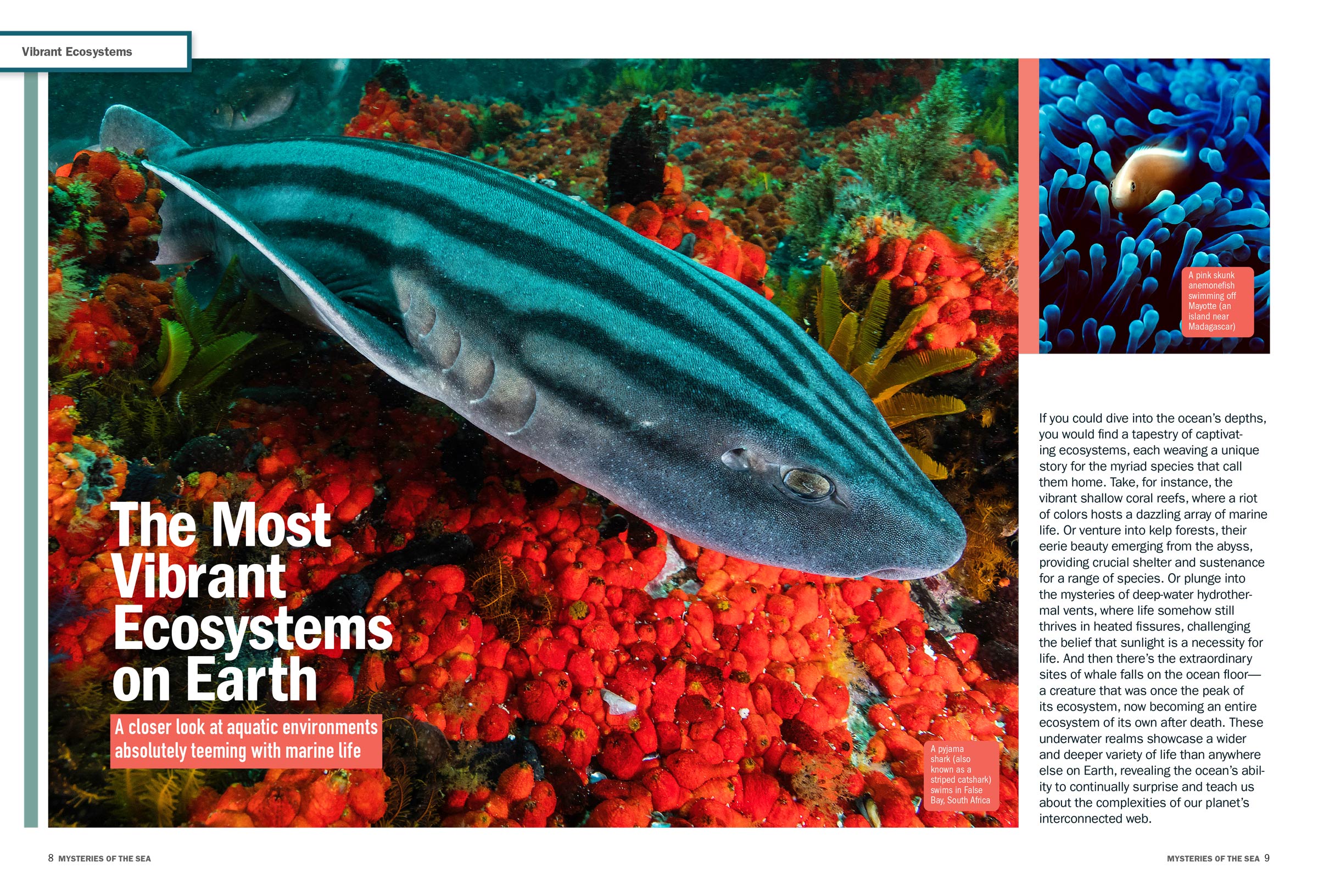 Under the Sea -  Incredible Creatures: Colorful Secrets Of the Briny Deep, New Science, Lost Shipwrecks, Sea Science Unleashed, New Tools For Exploring & Saving Earth's Final Frontier & More!