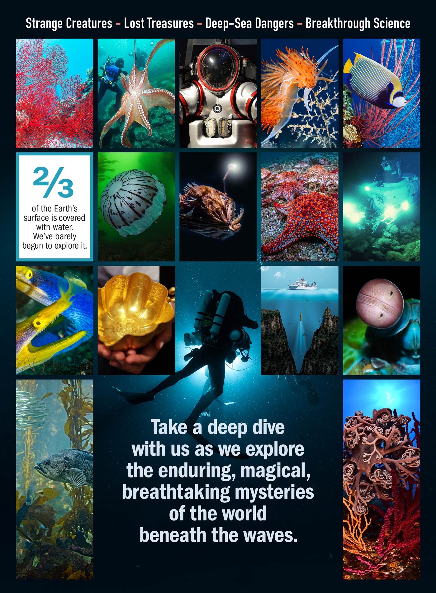 Under the Sea -  Incredible Creatures: Colorful Secrets Of the Briny Deep, New Science, Lost Shipwrecks, Sea Science Unleashed, New Tools For Exploring & Saving Earth's Final Frontier & More!