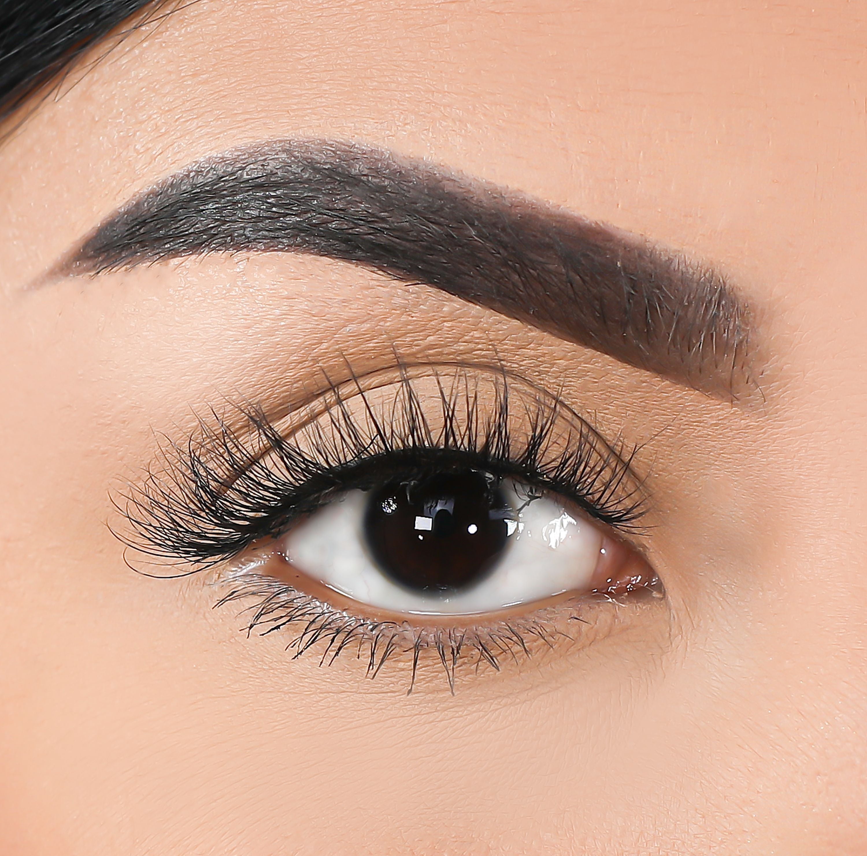 3D Mink Eyelashes - Shelby